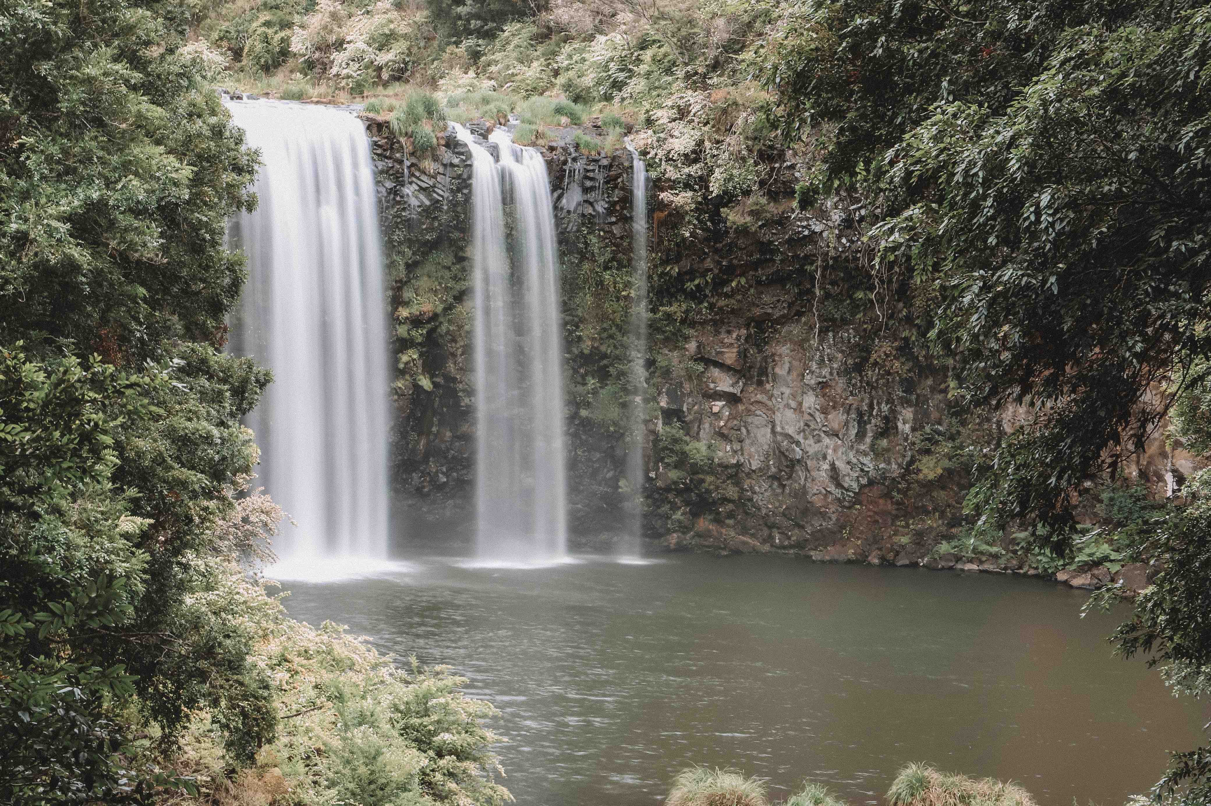 Waterfall Way, East Coast Australia