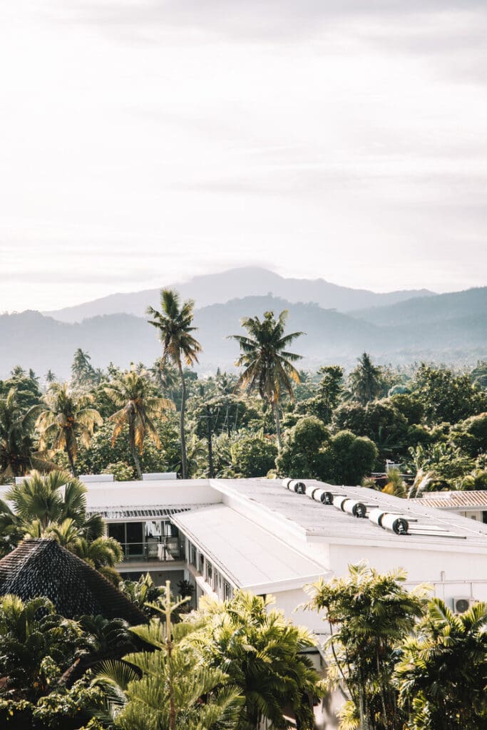 Aggie greys, Apia, Samoa