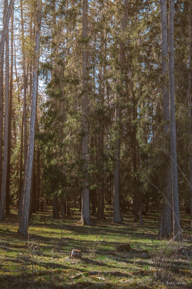 Västerplana leden kinnekulle nature reserve