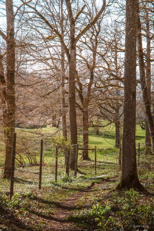 Västerplana leden kinnekulle nature reserve