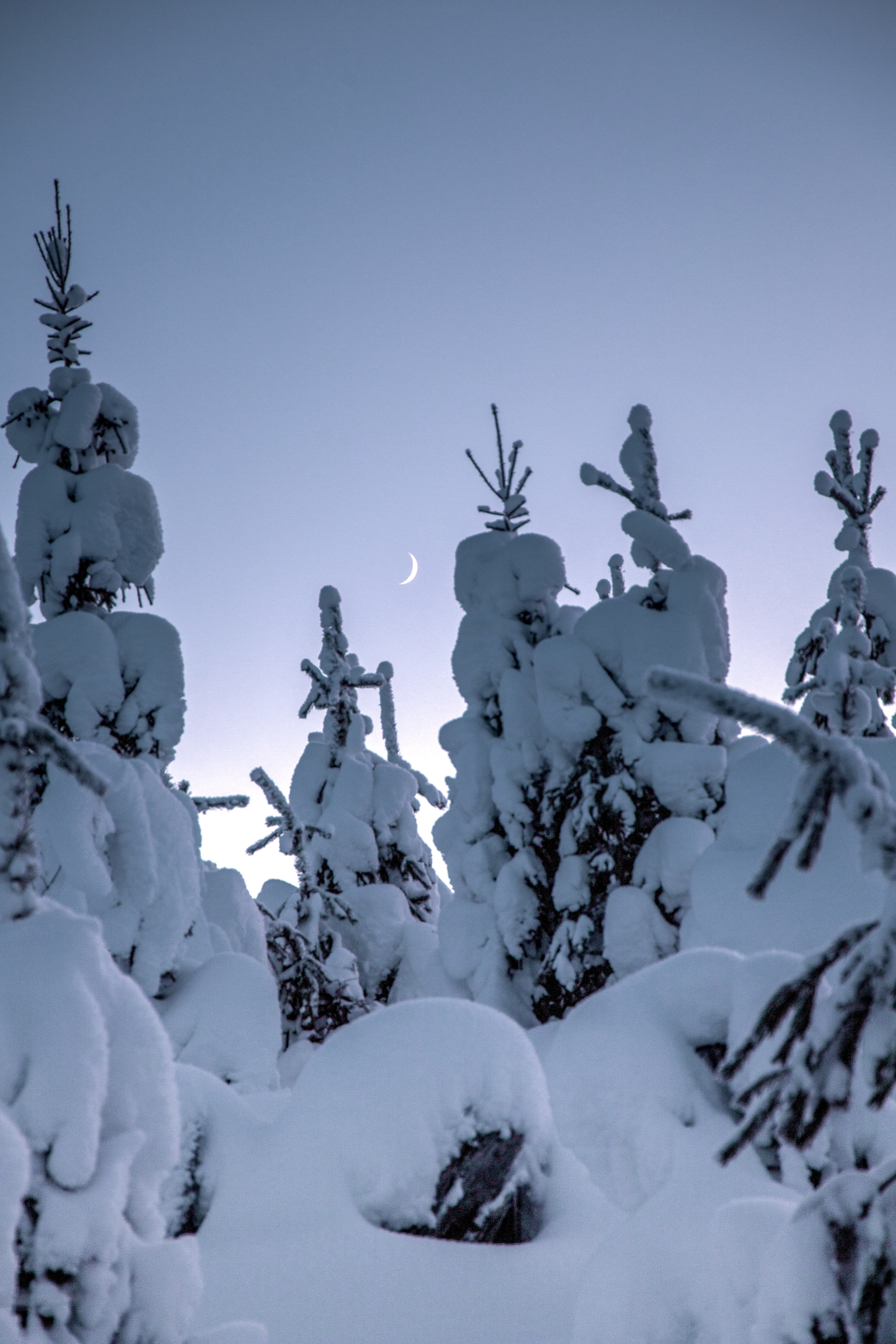 cross country skiing in sälen