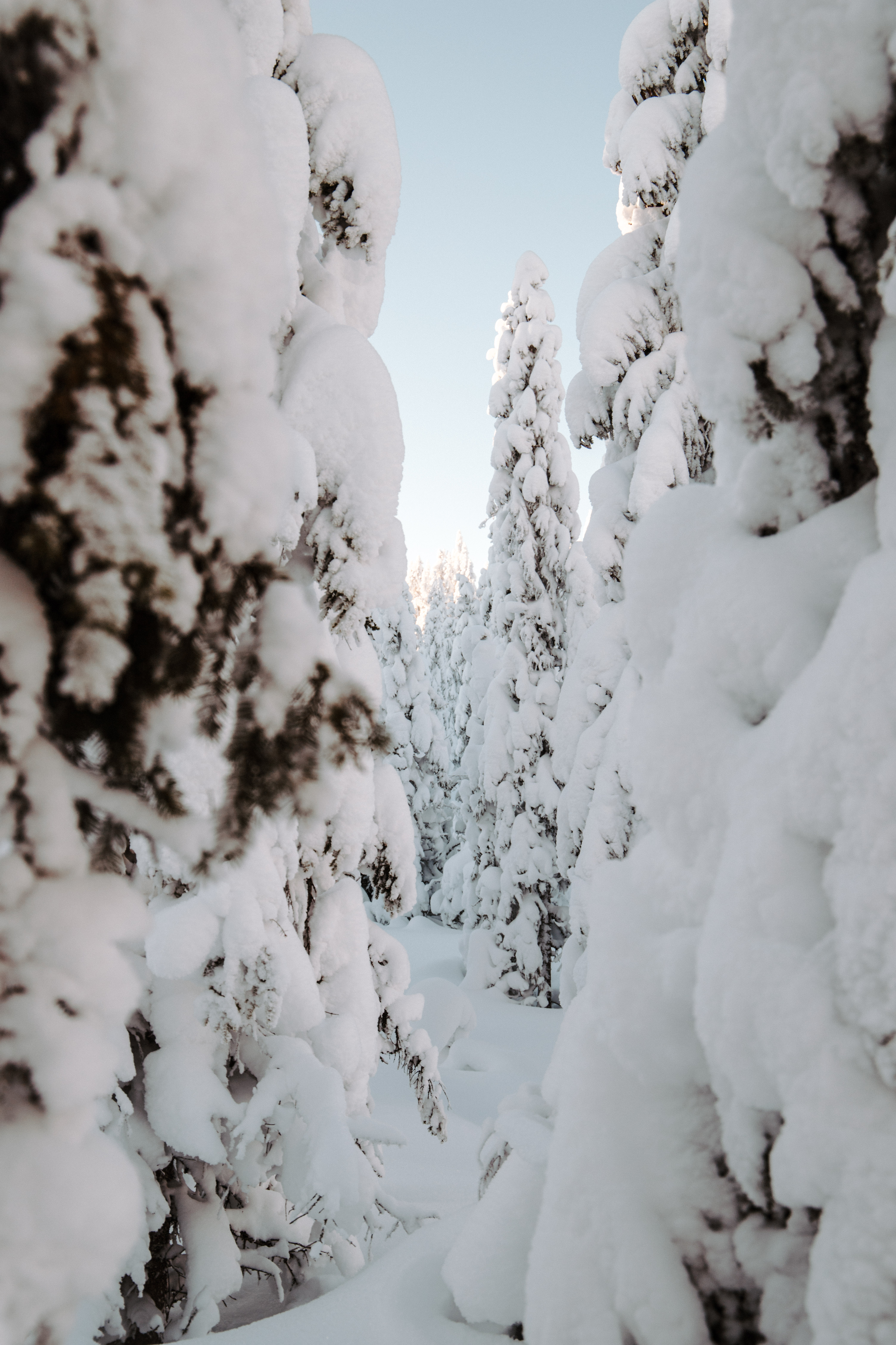 cross country skiing in sälen