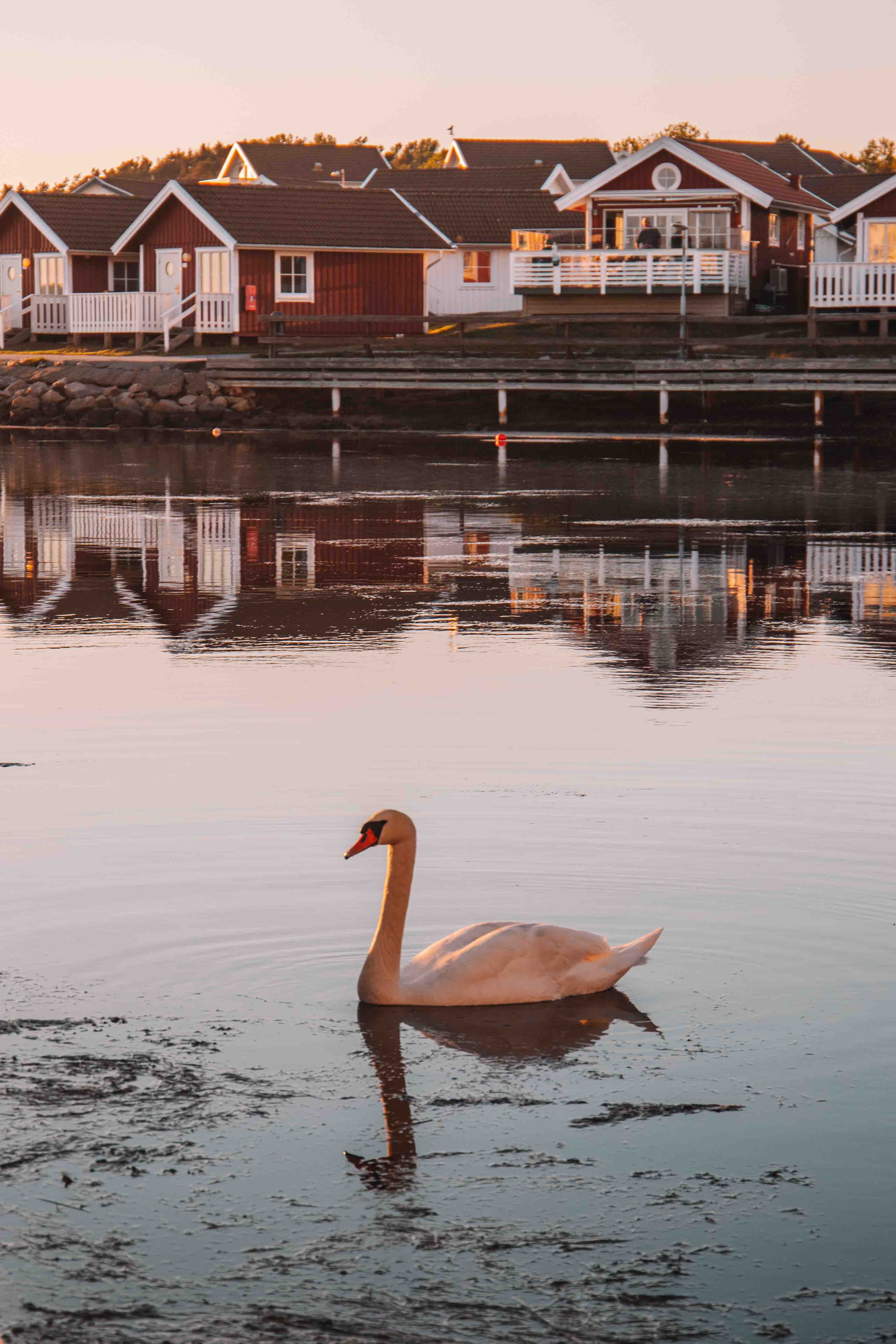 tanumstrand harbour