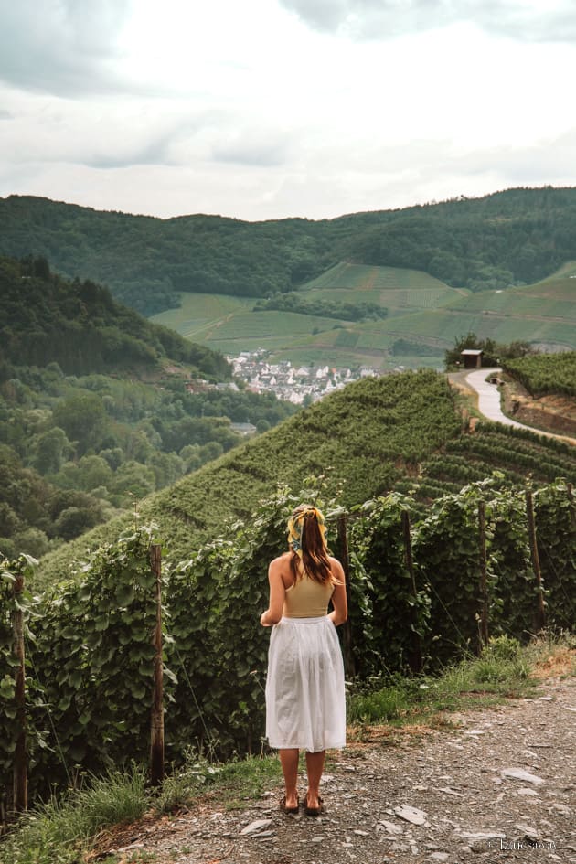 rotweinwanderweg ahrweiler - red wine hiking trail