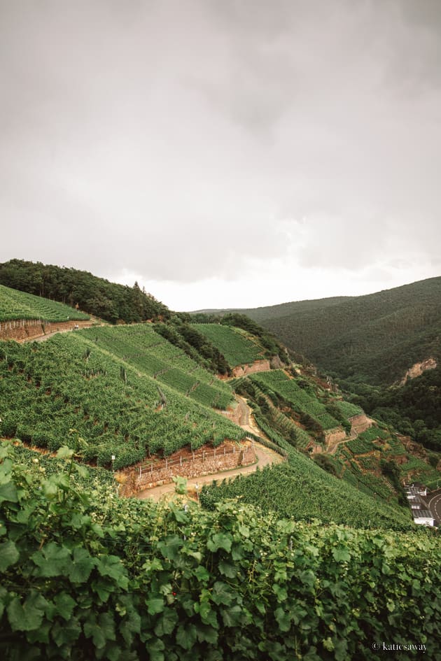 rotweinwanderweg ahrweiler - red wine hiking trail