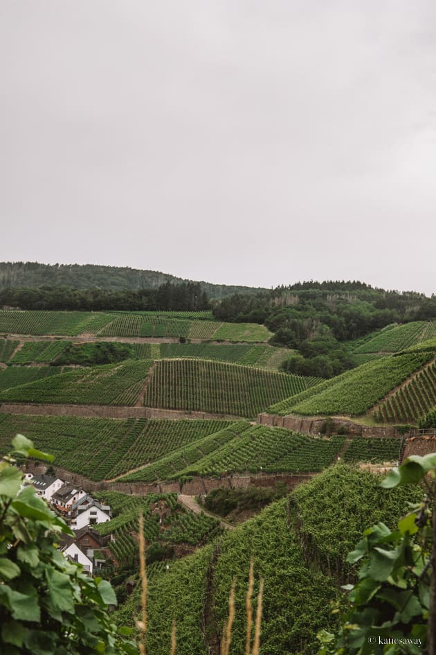 rotweinwanderweg ahrweiler - red wine hiking trail