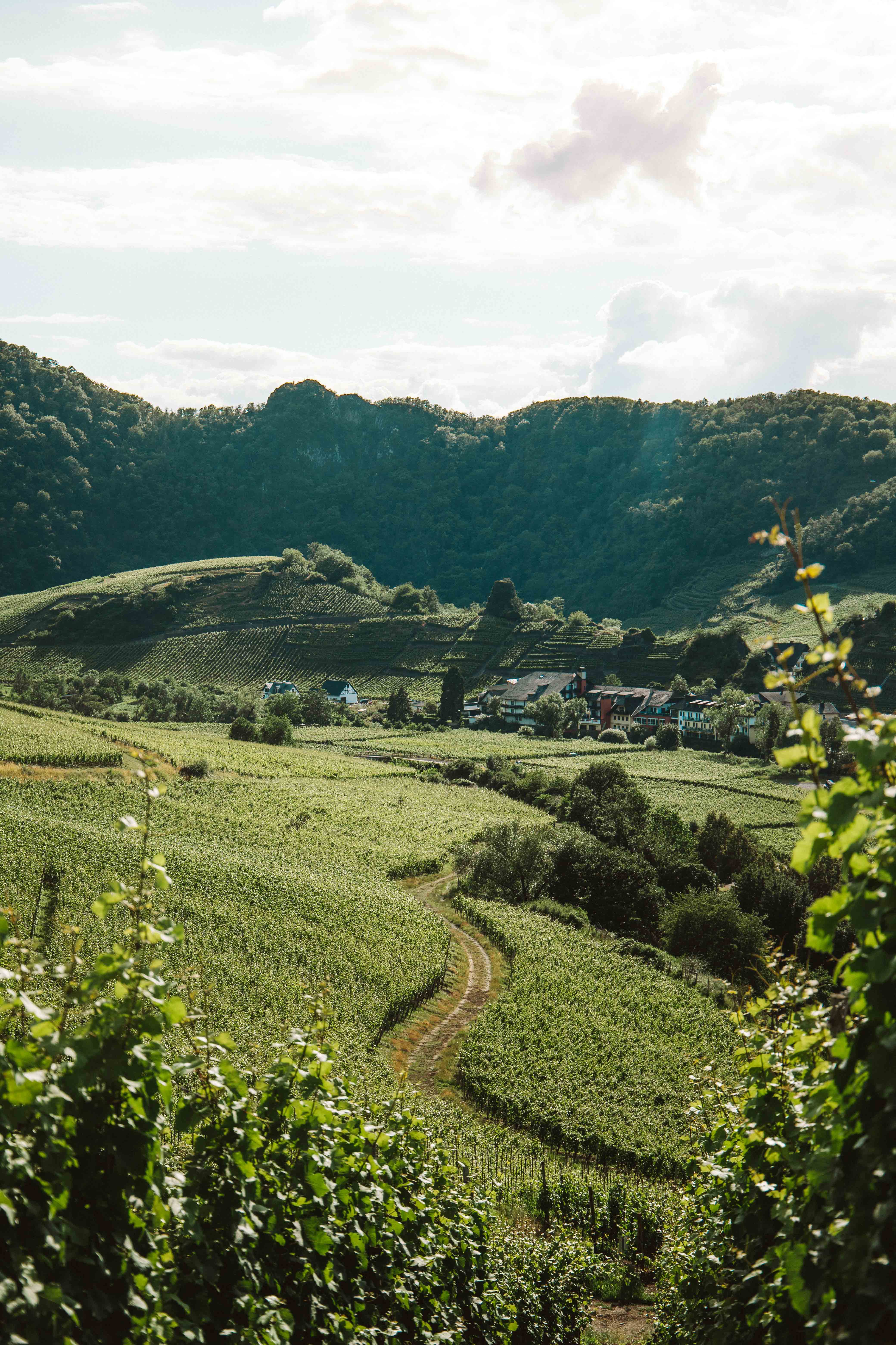 view from saffenburg castle ruin mayschoss ahr valley ahr steig