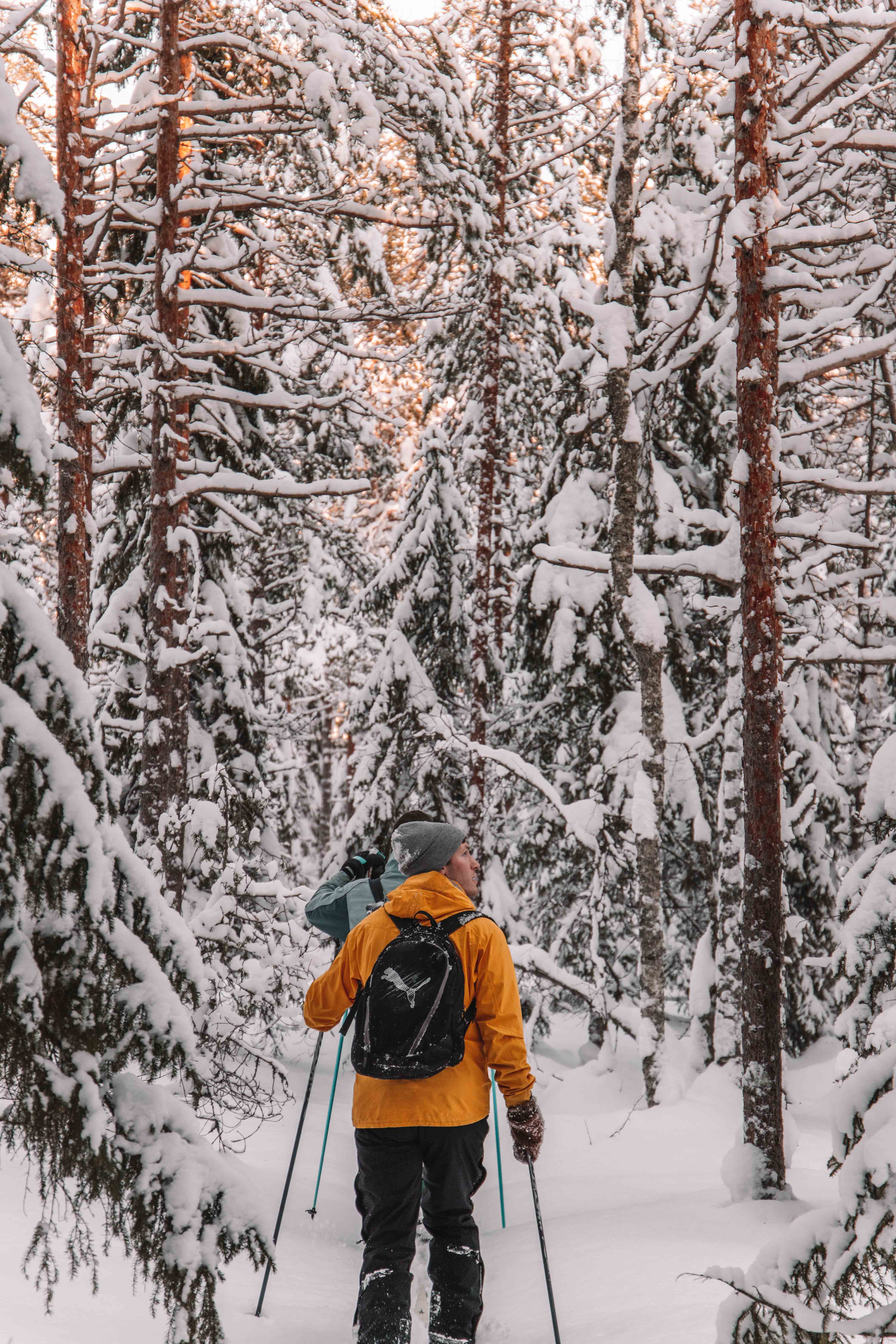 cross country skiing in umeå in winter