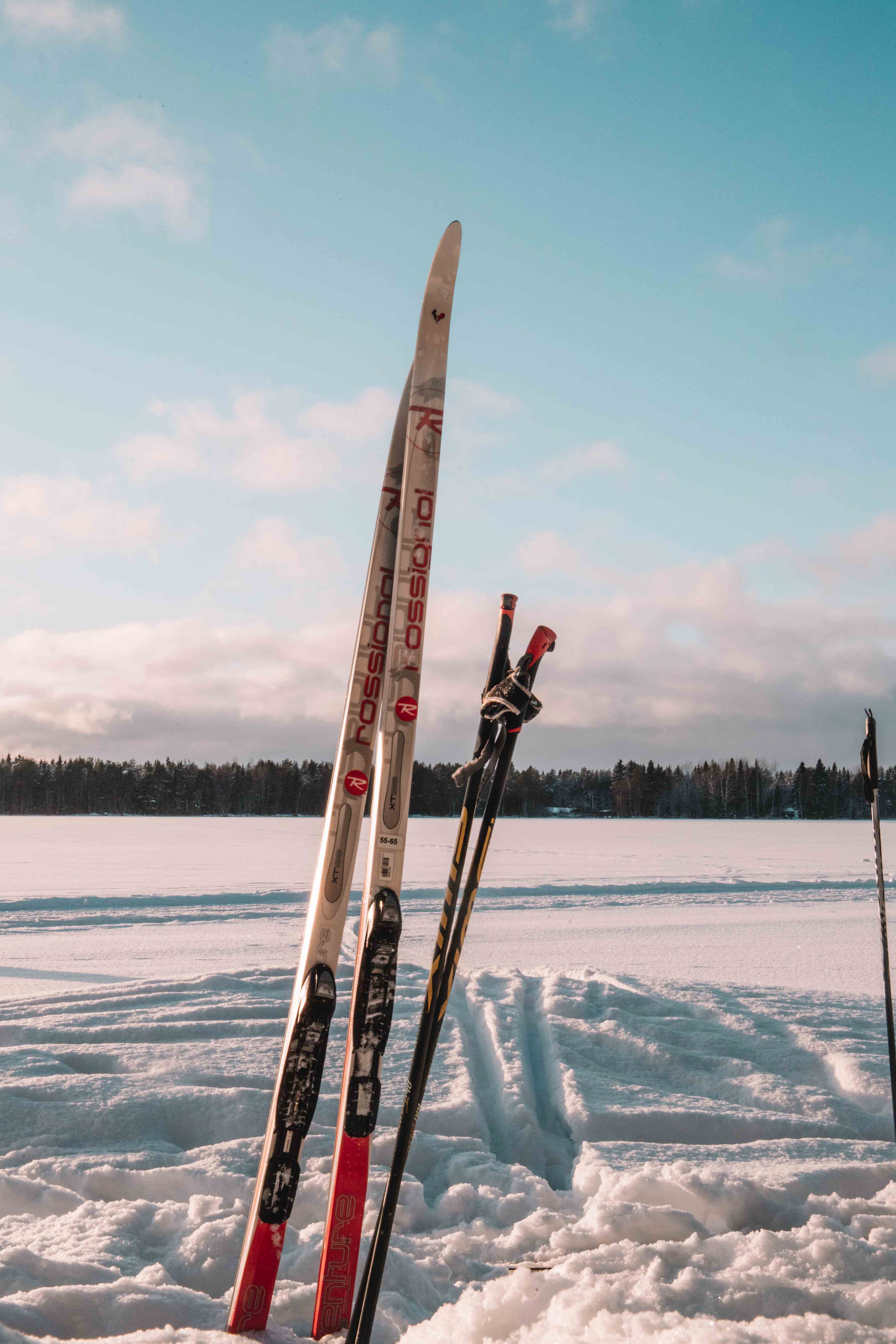 cross country skiing in umeå in winter