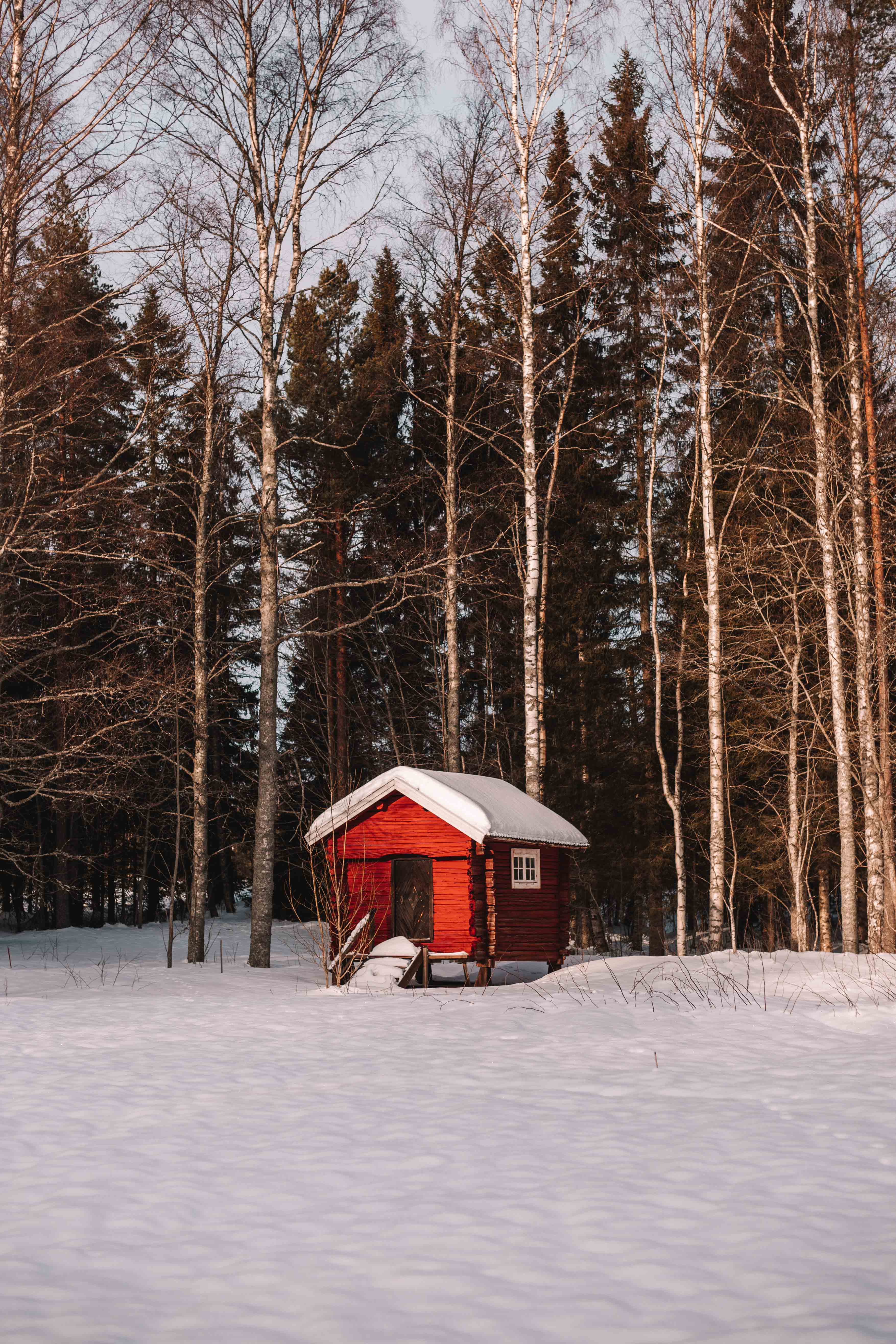 umeå in winter