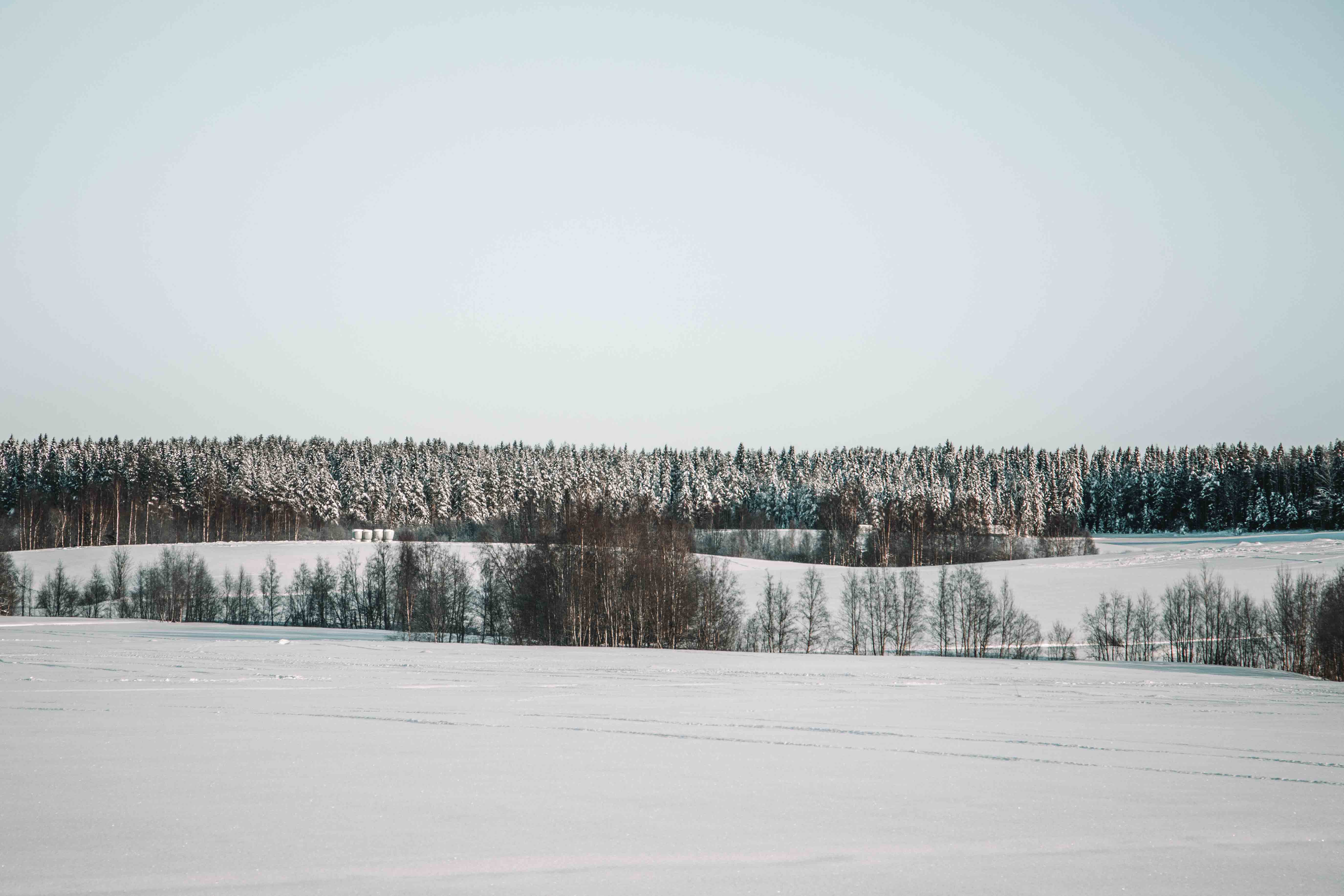 tavelsjö skiing