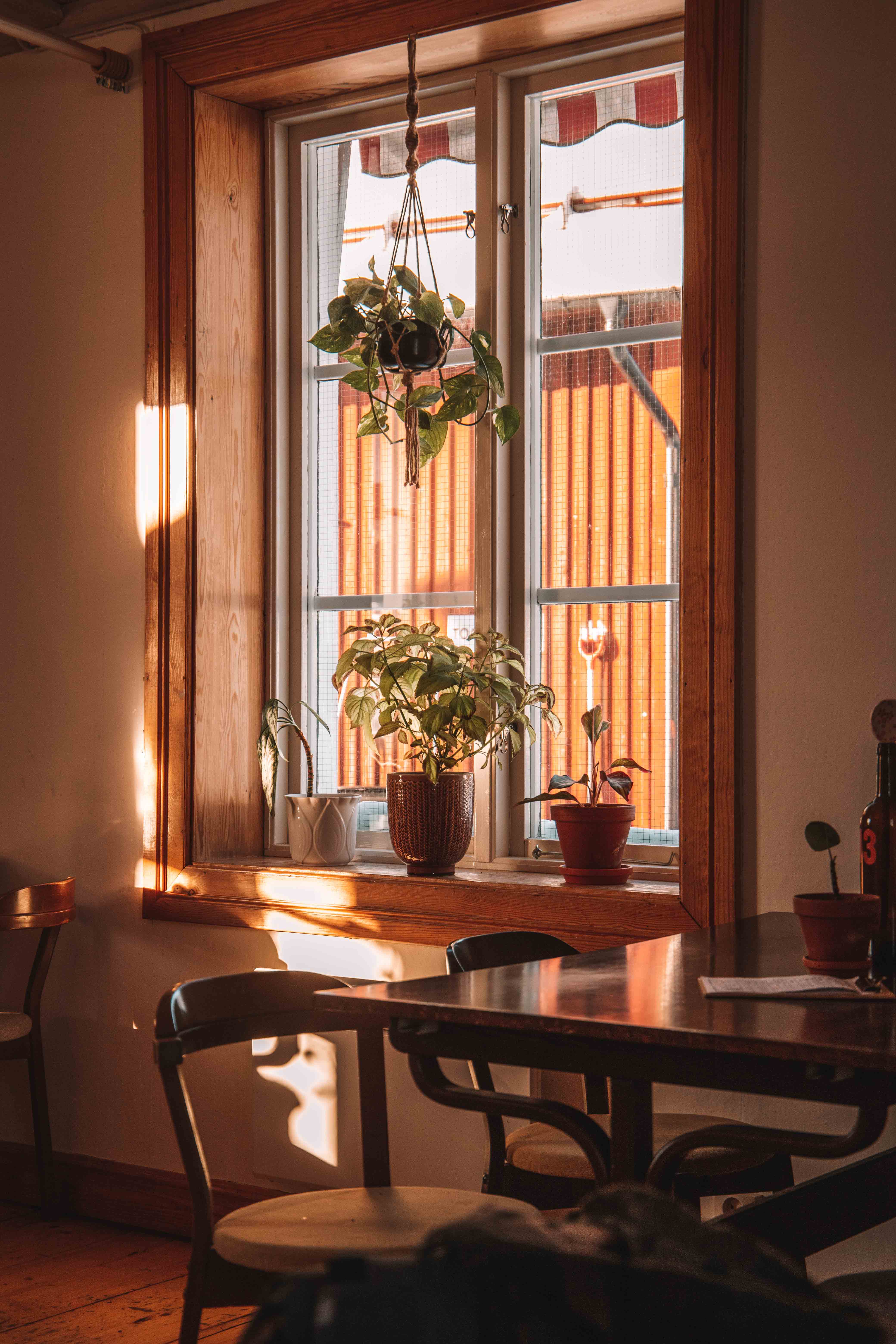 Roots cafe tavelsjö umeå in winter