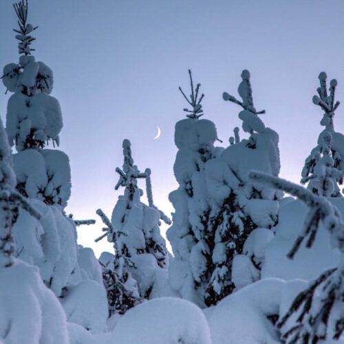 unique places to visit in sweden in winter