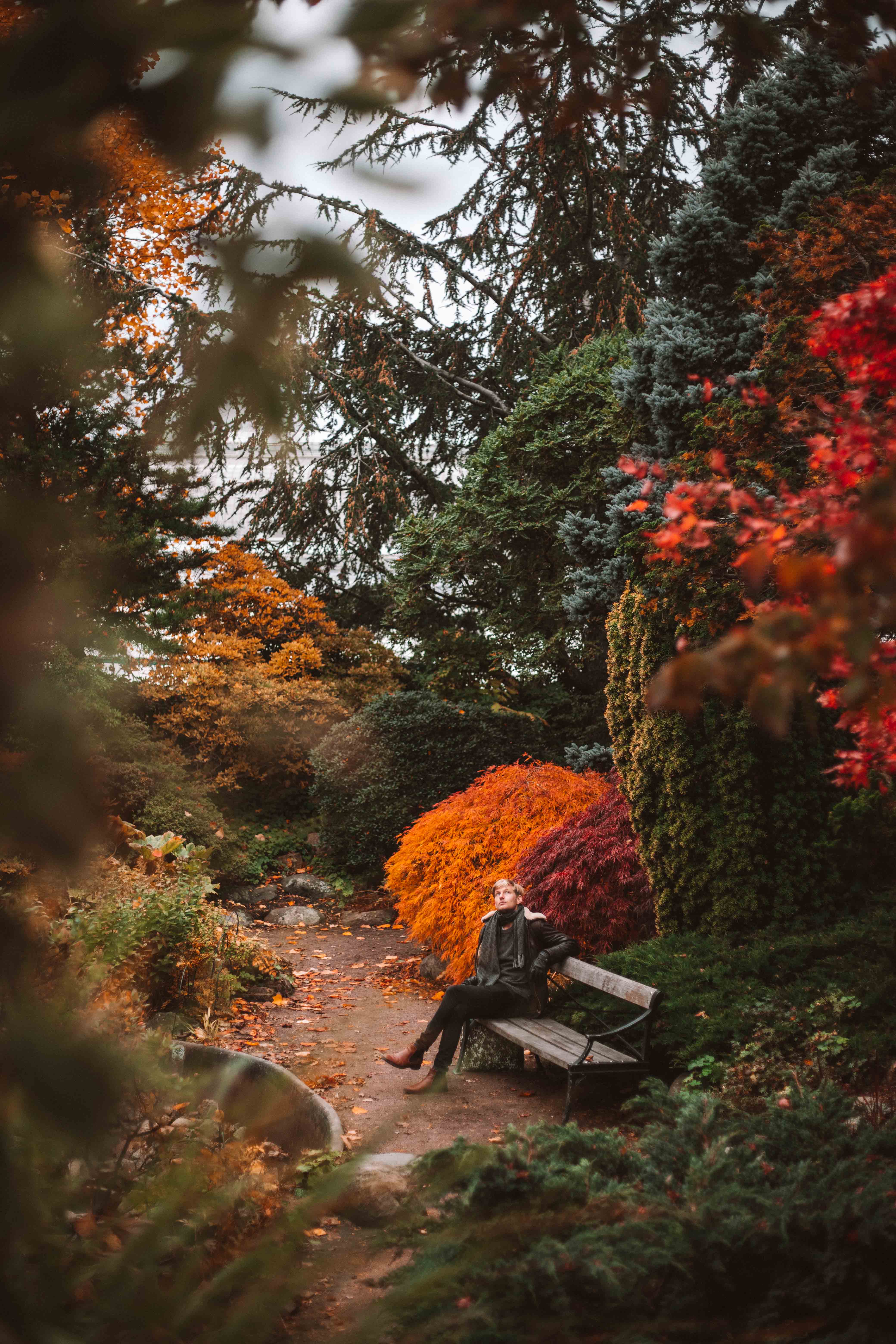 trädgårdsföreningen in autumn göteborg