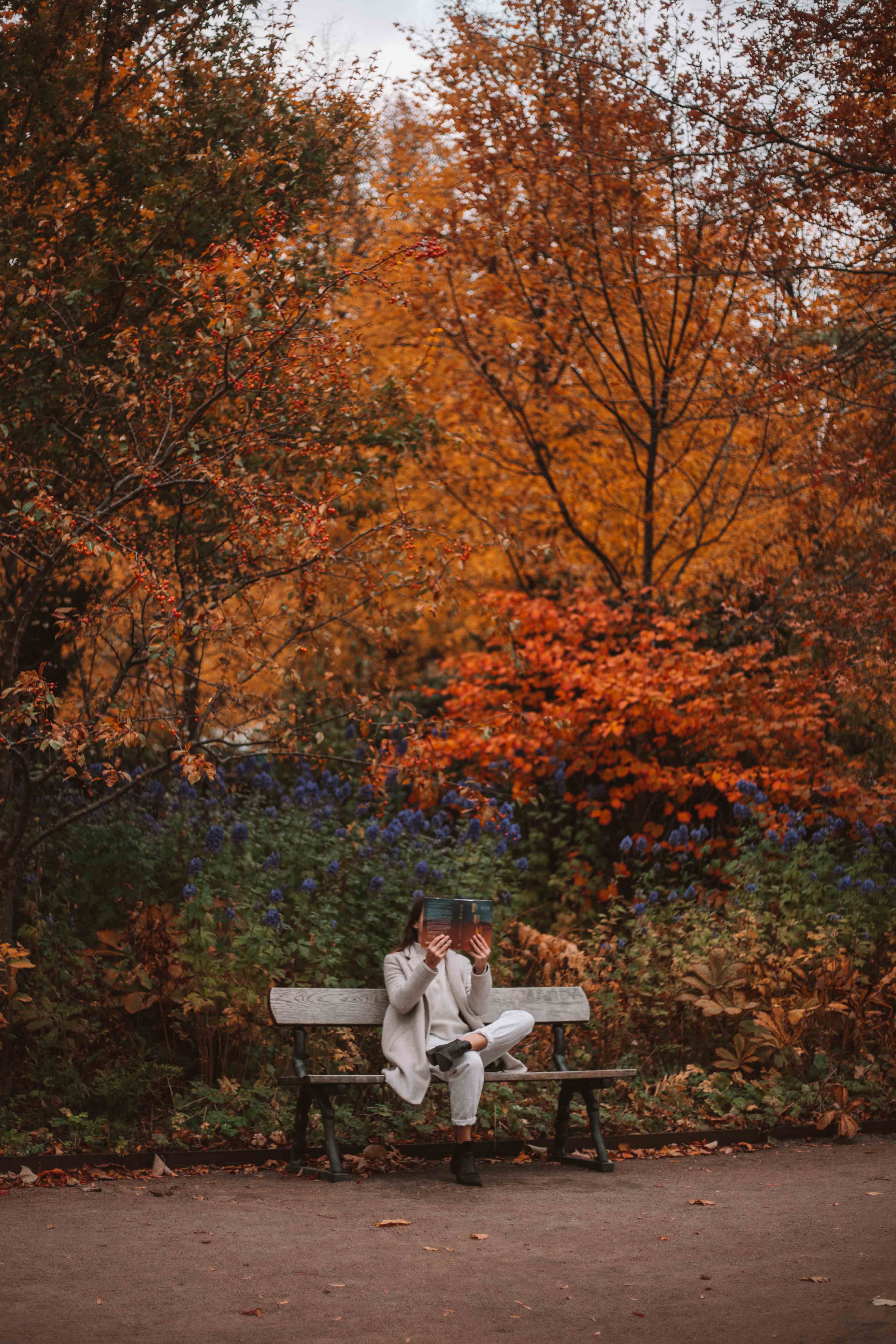 autumn in sweden