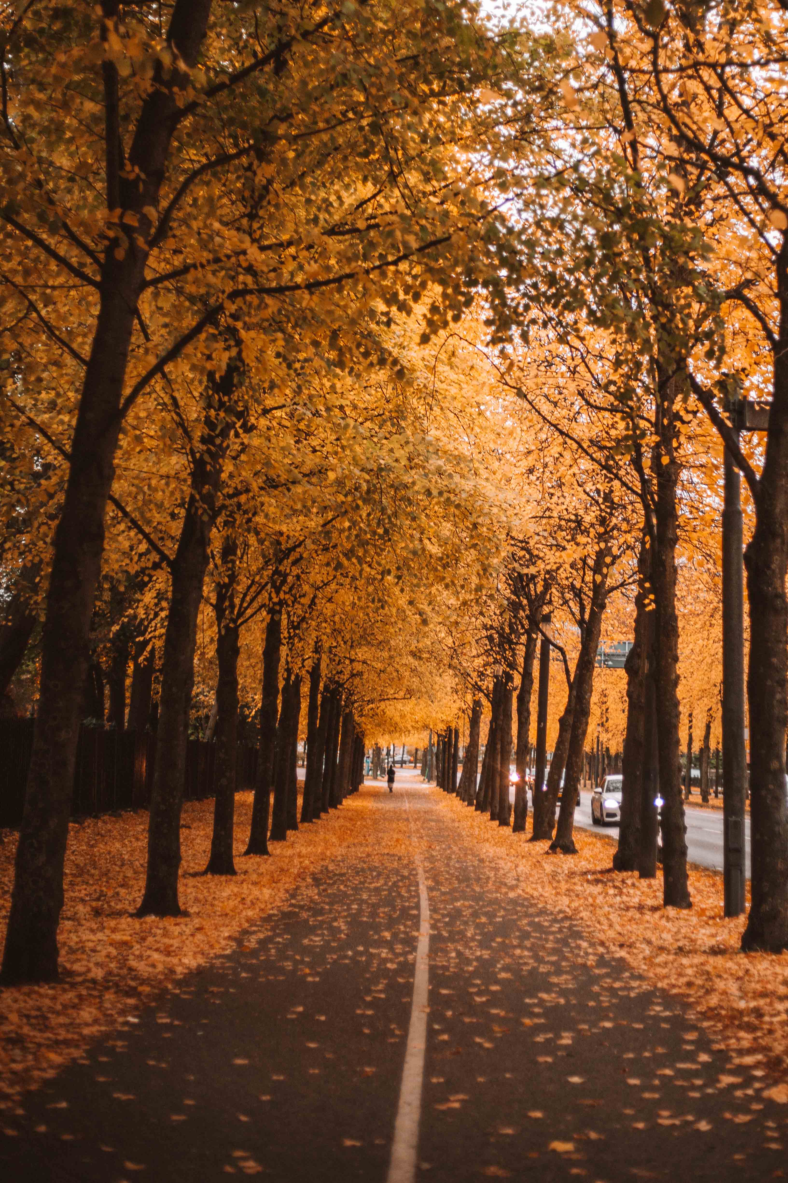 the best autumn colours in gothenburg sweden