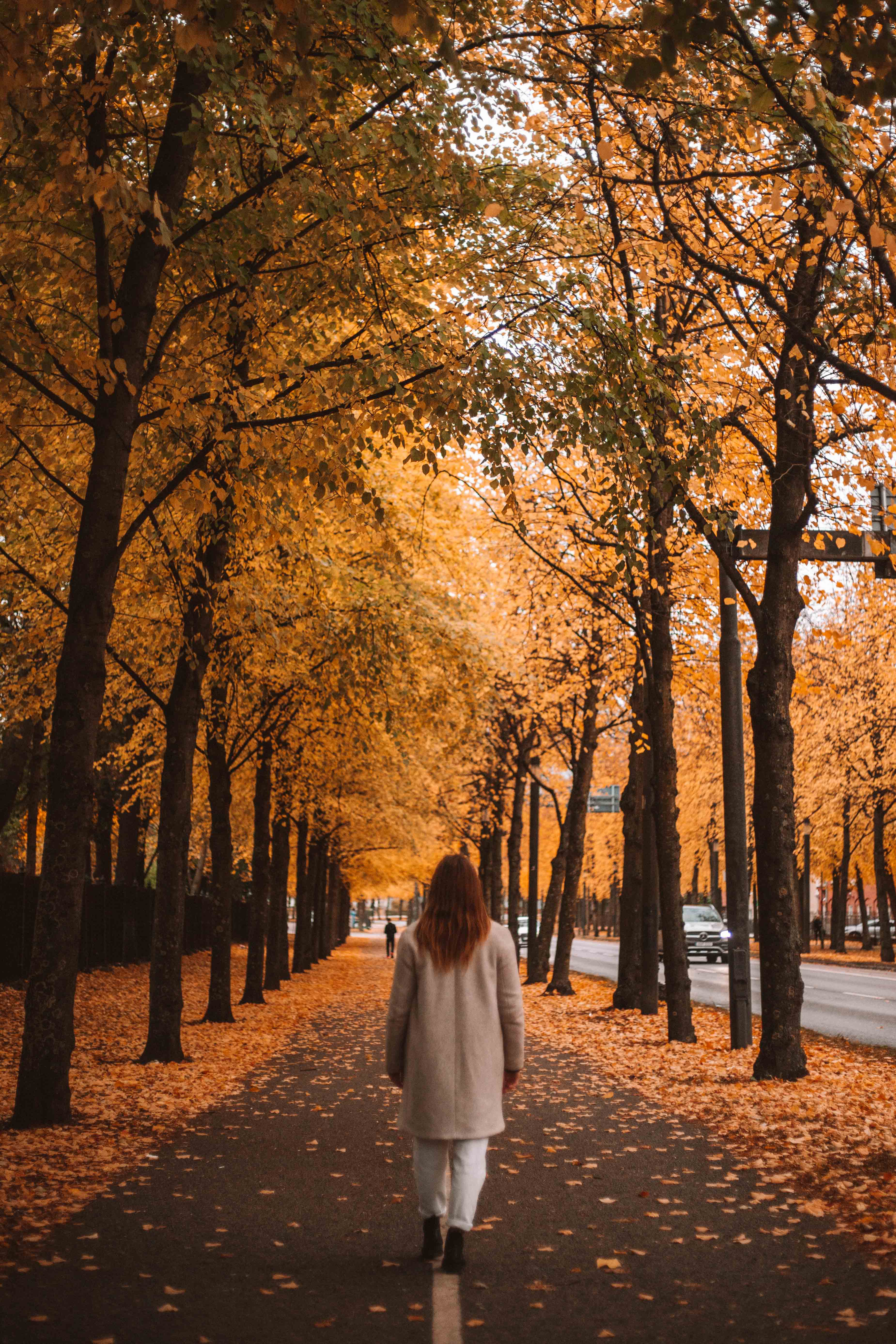 the best autumn colours in gothenburg sweden