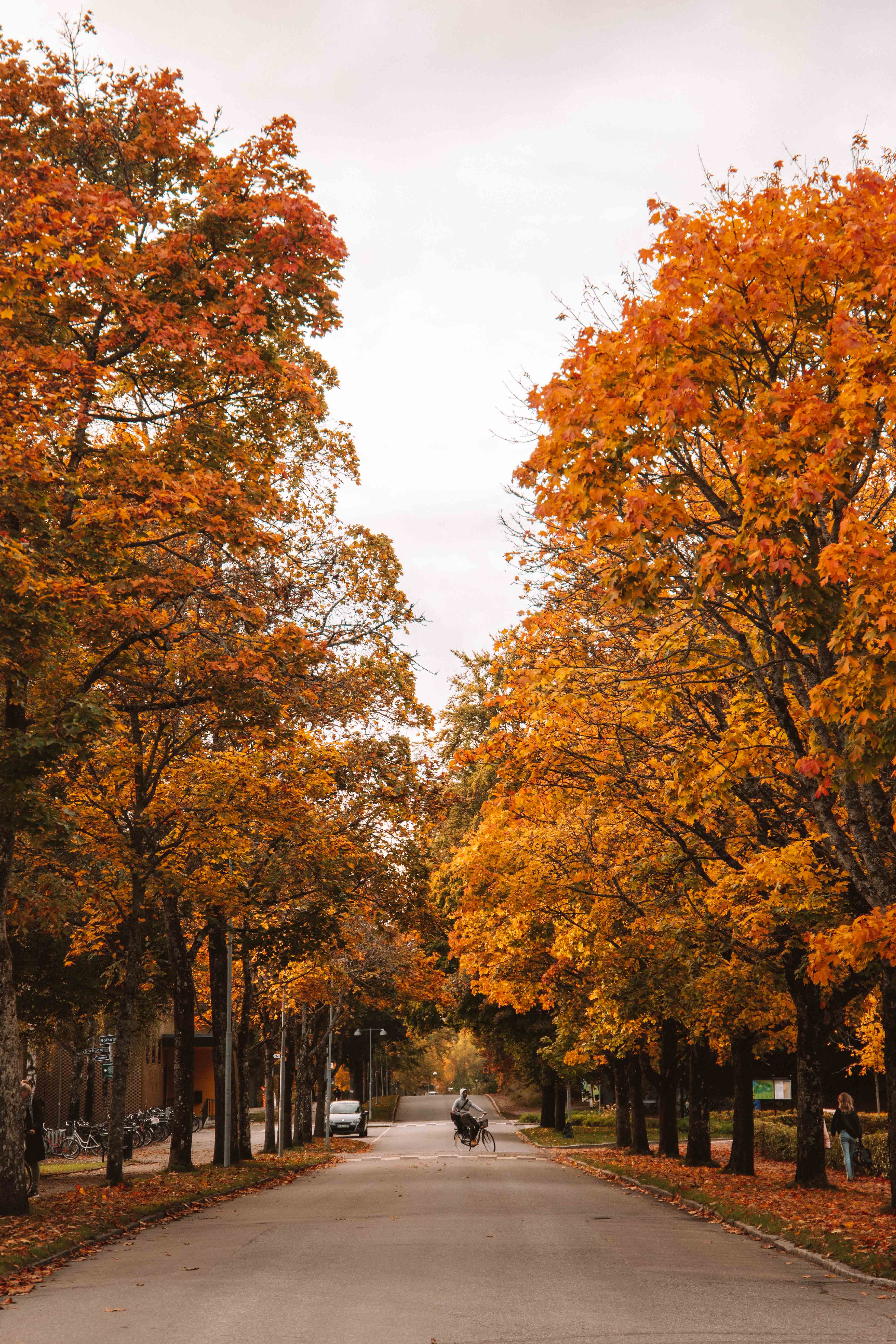 autumn in alingsas, sweden