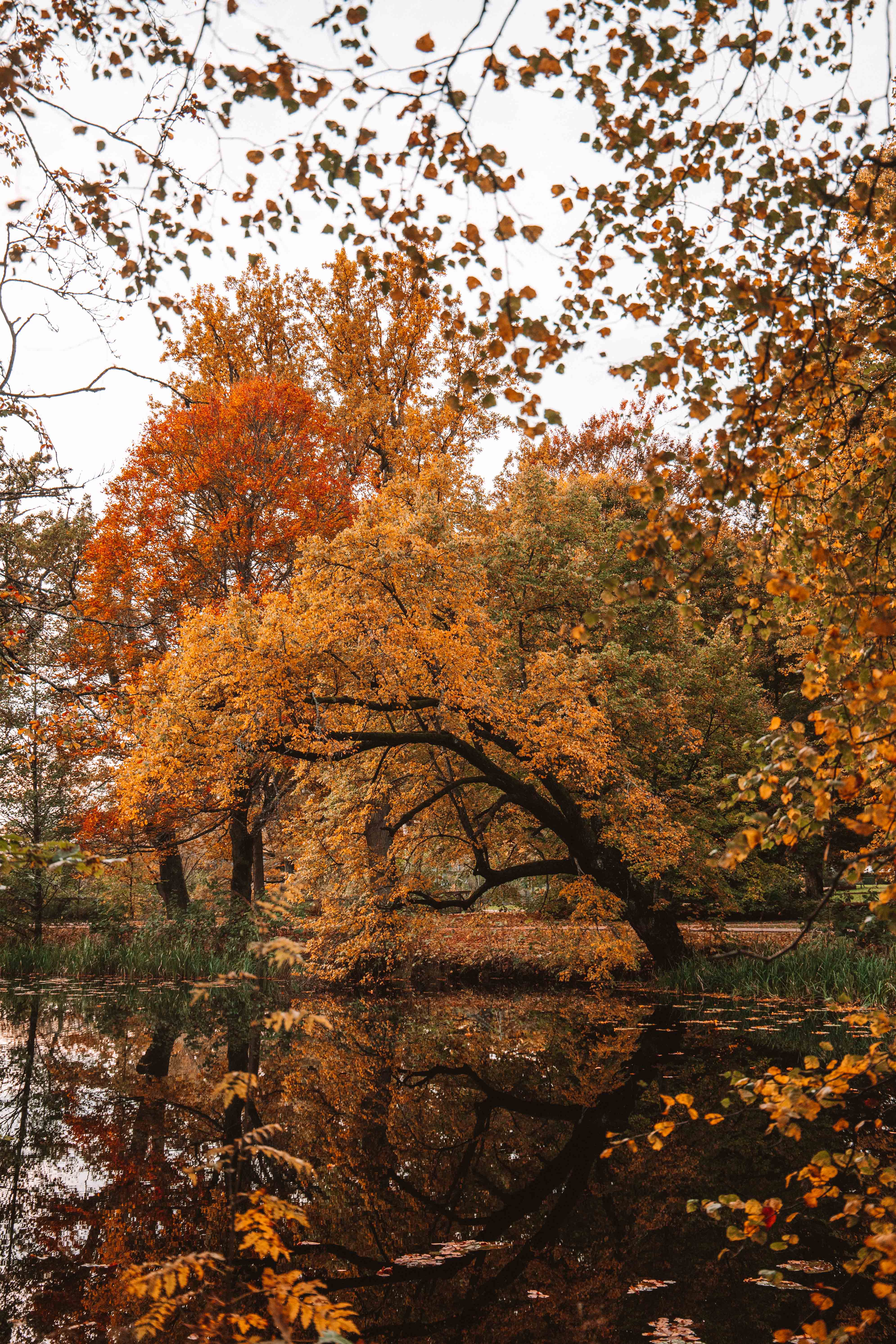 autumn in alingsås, sweden