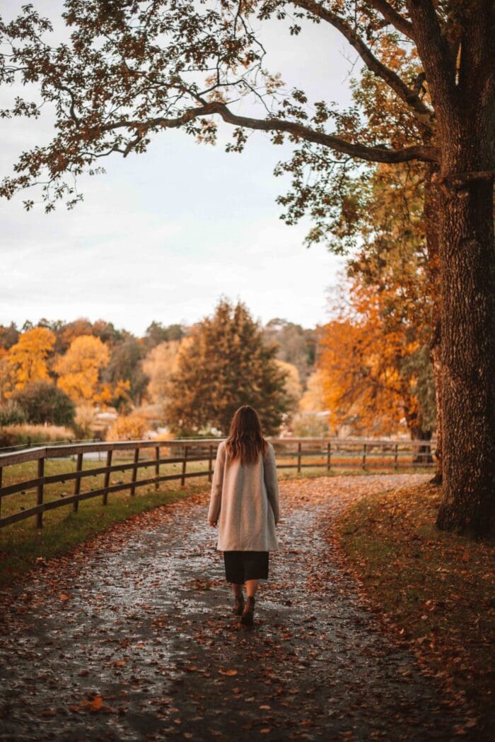 autumn in alingsas, sweden