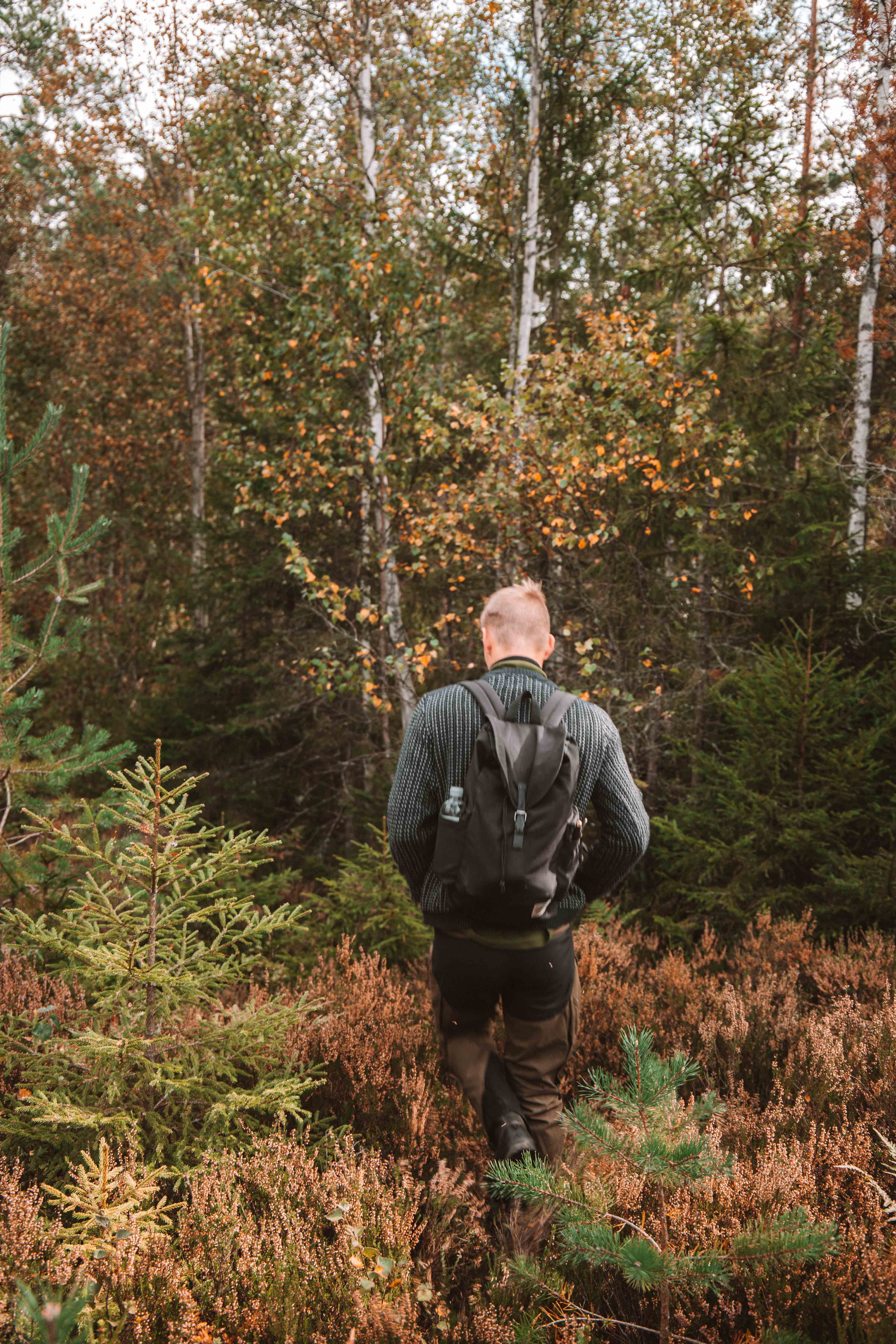 tividen national park autumn