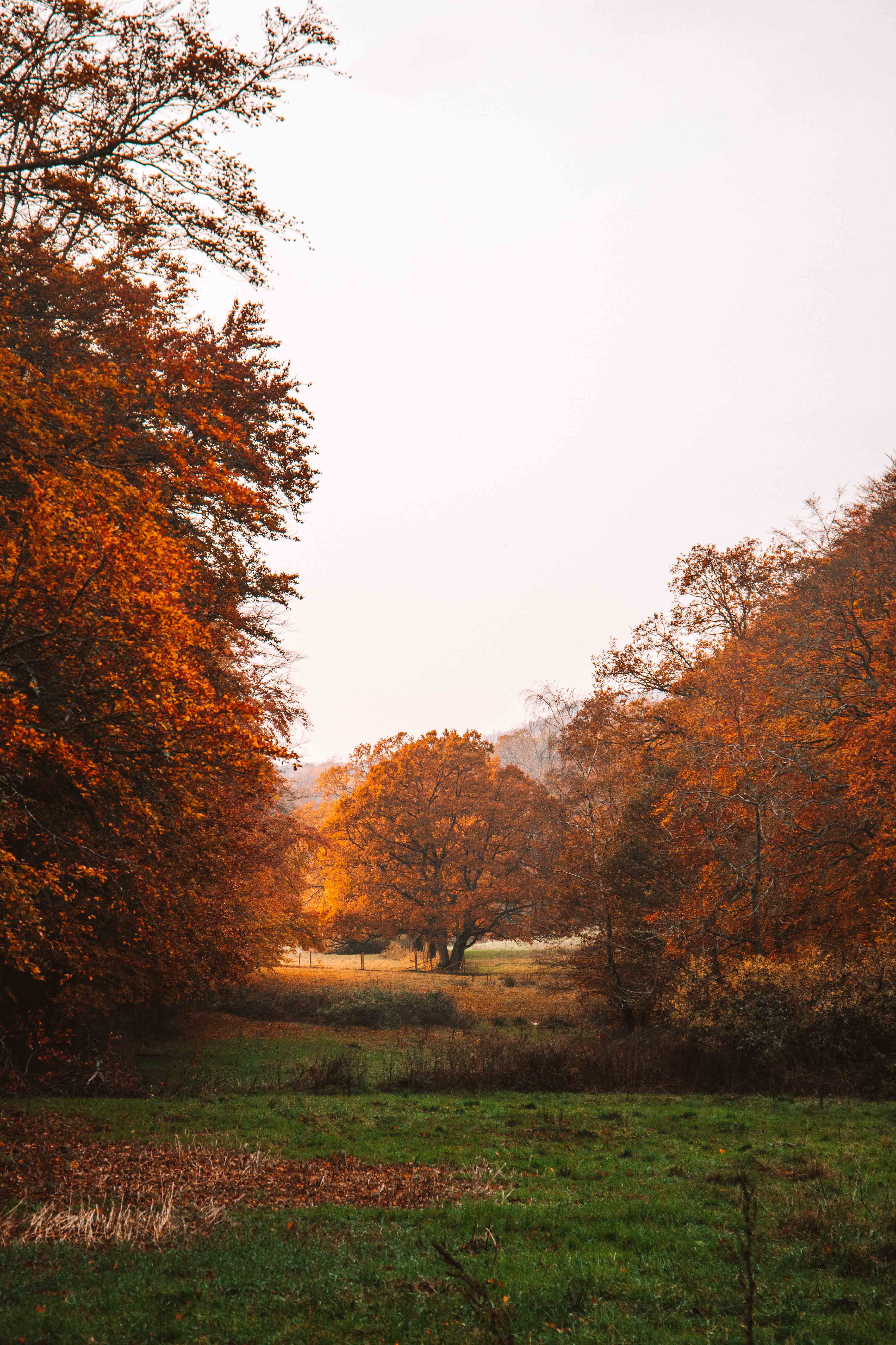 kullaberg nationalpark