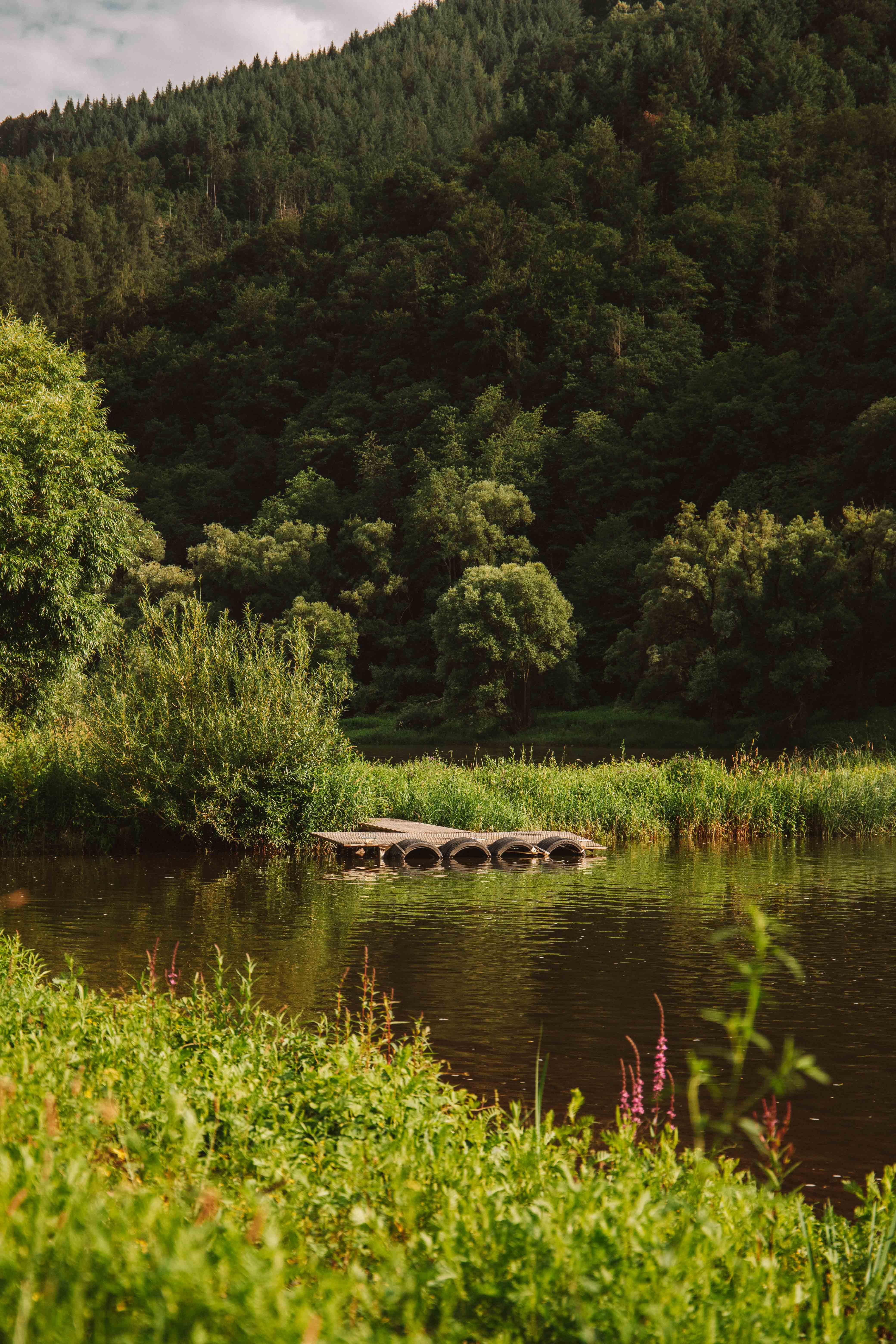 rhine valley road trip