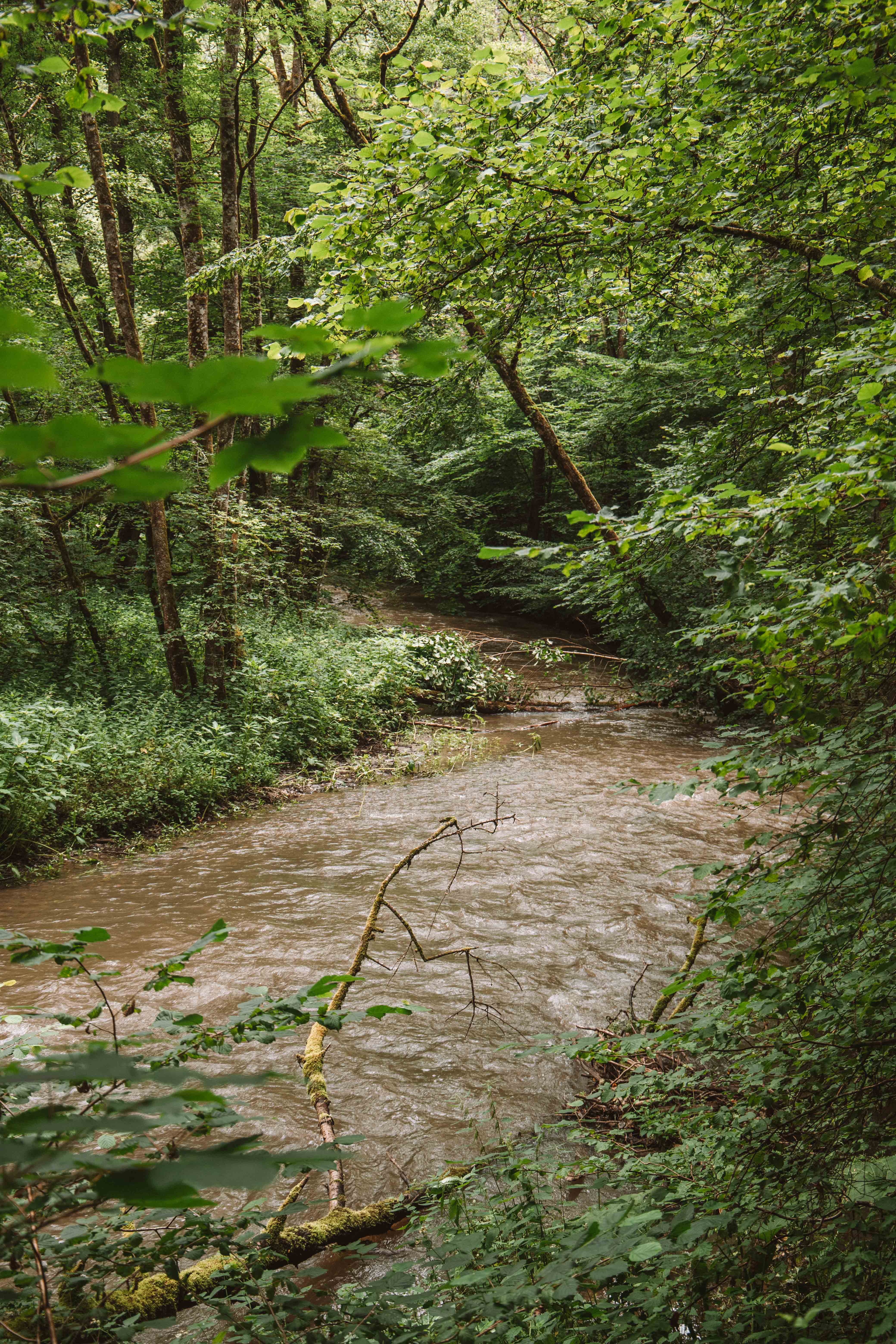 how to get to burg eltz hike