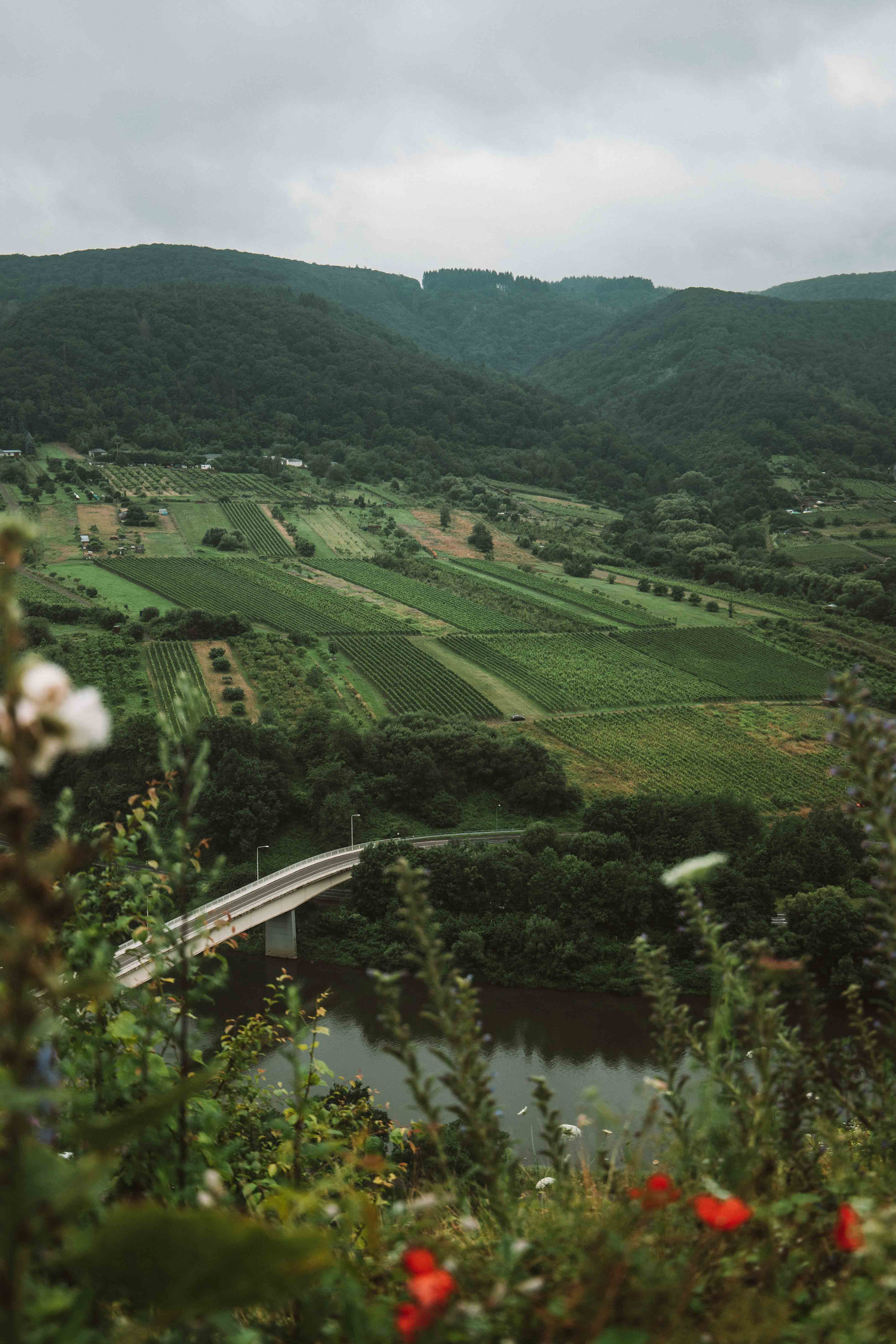 rhine valley road trip