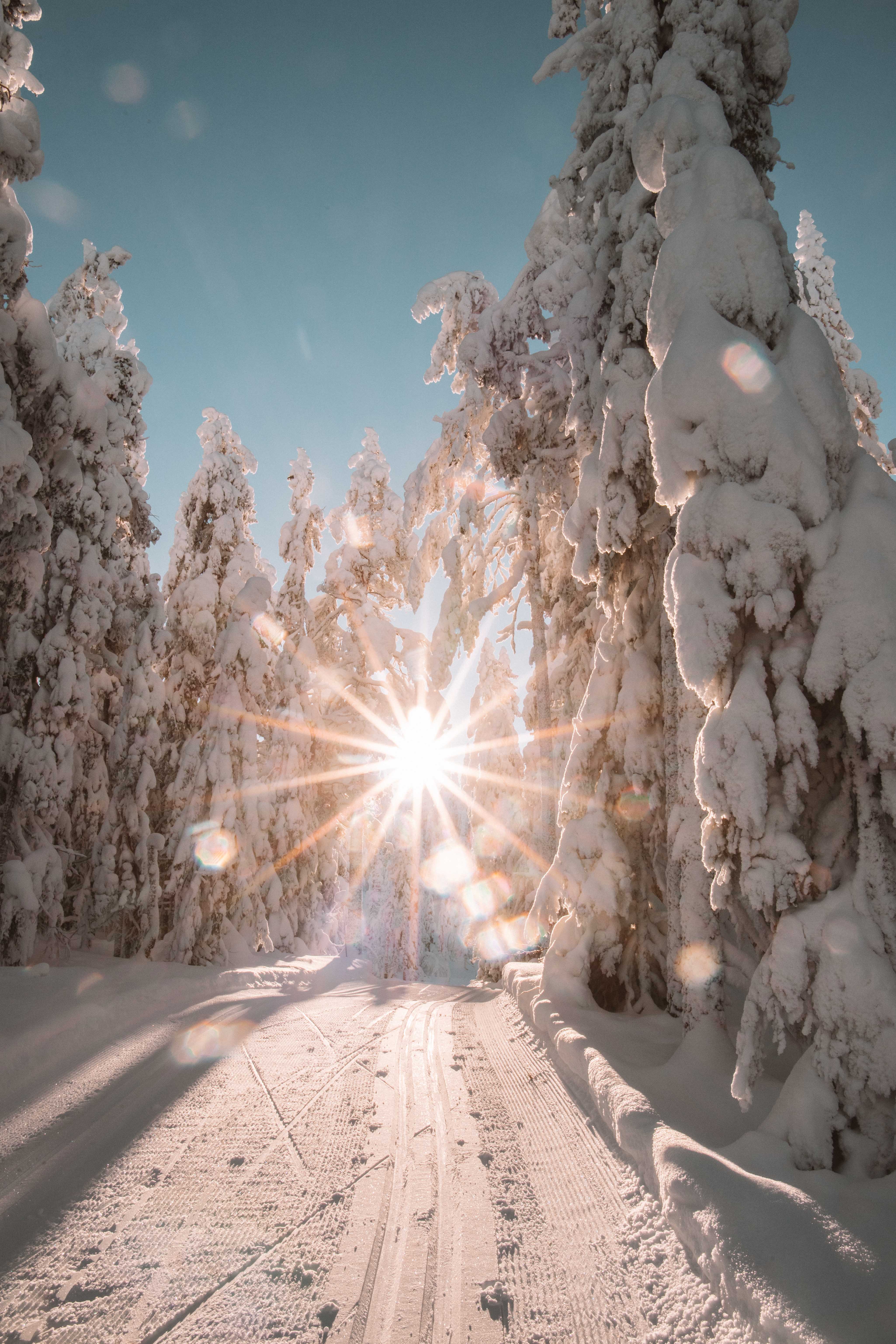 cross country skiing swede