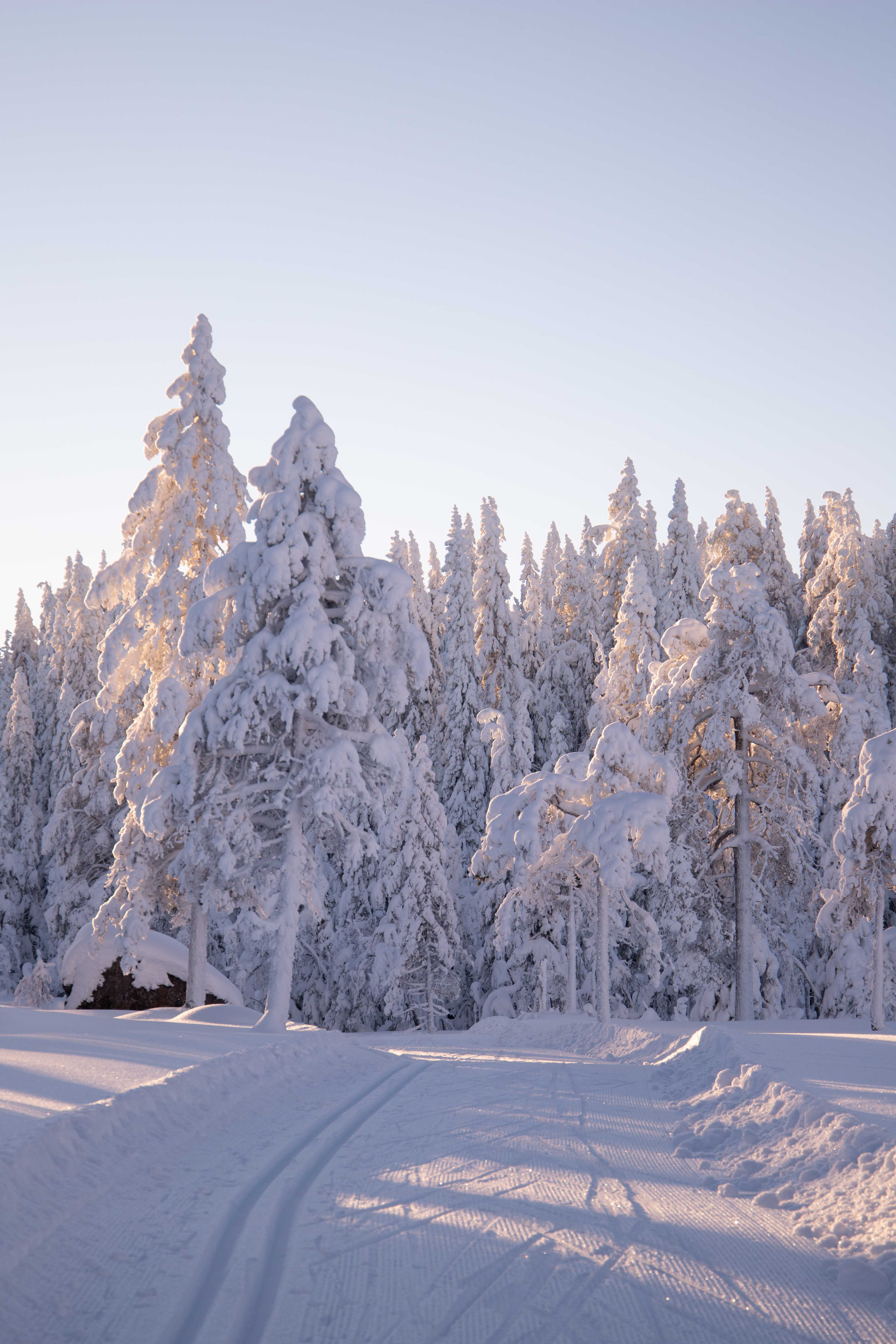 kläppan cross country skiing sälen