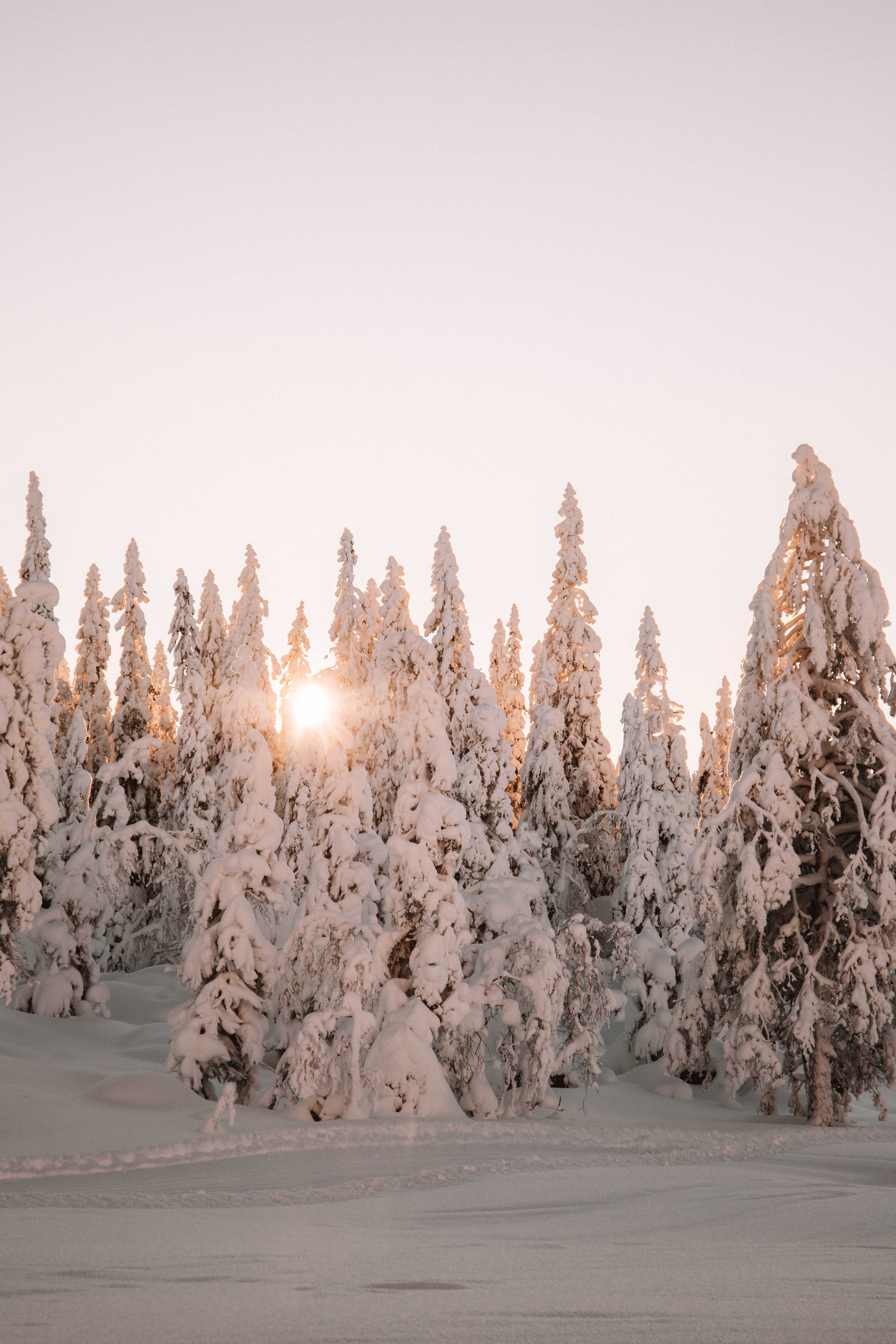 cross country skiing sweden