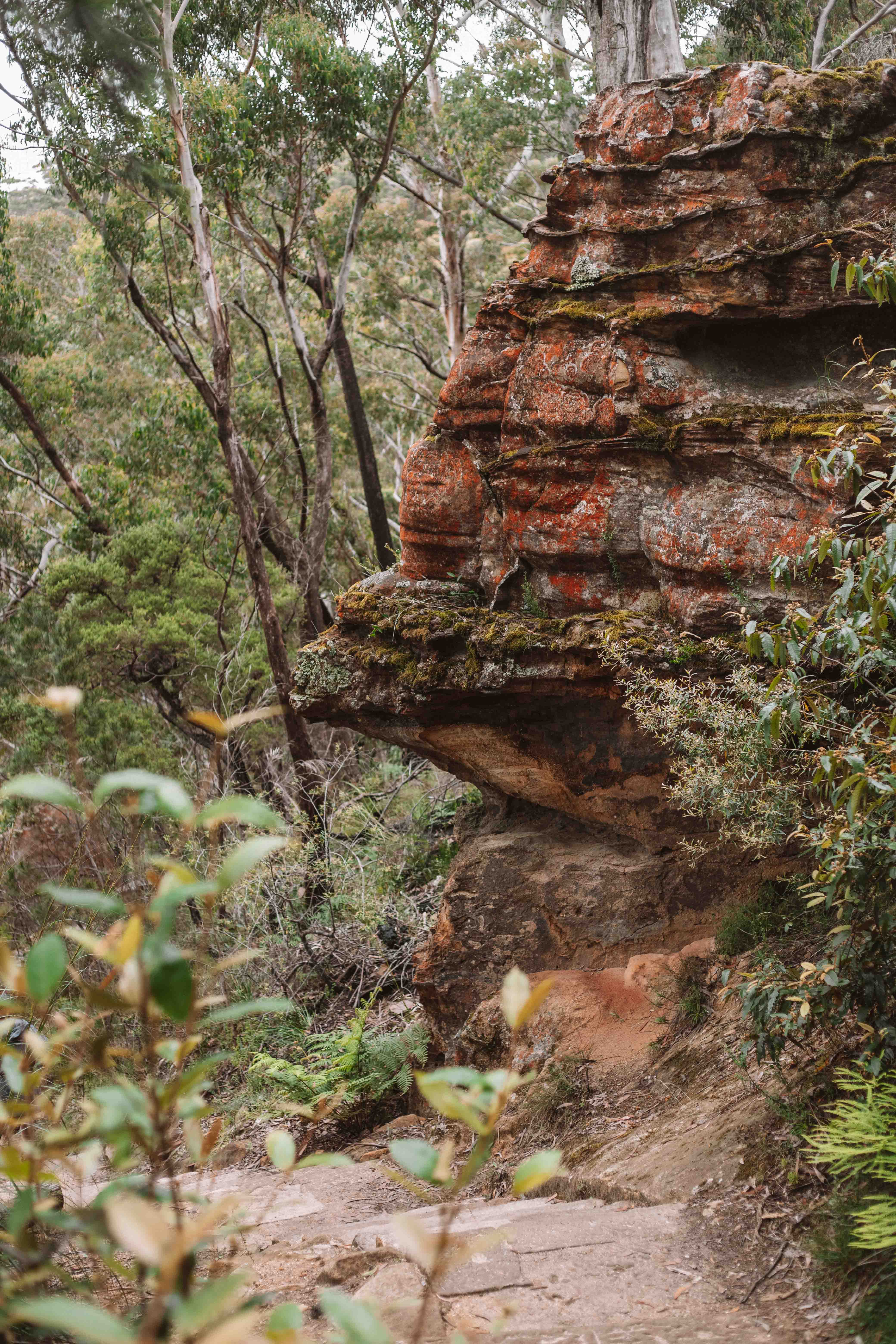 blue mountains canyon walk