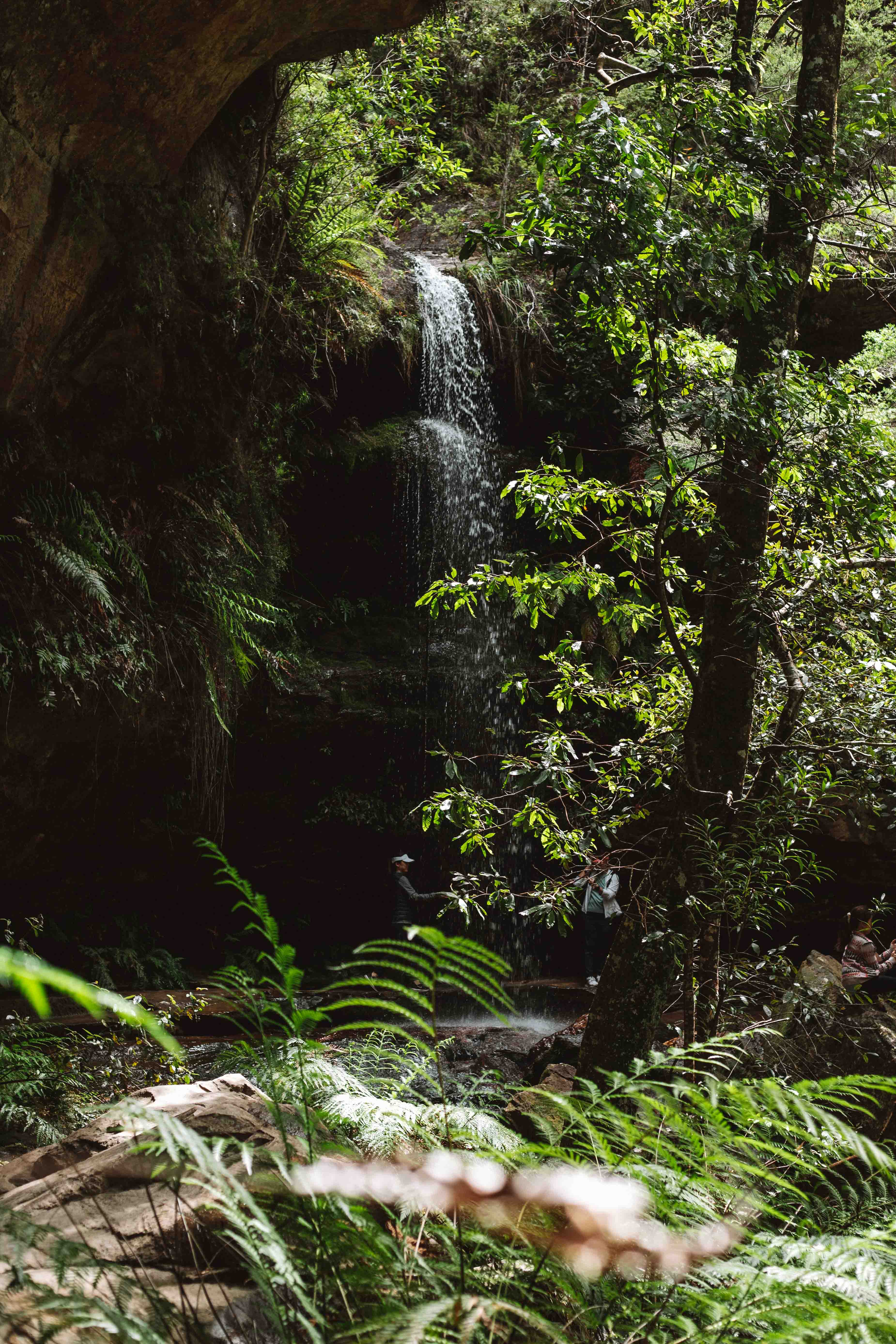 grand canyon walk blue mountains waterfall