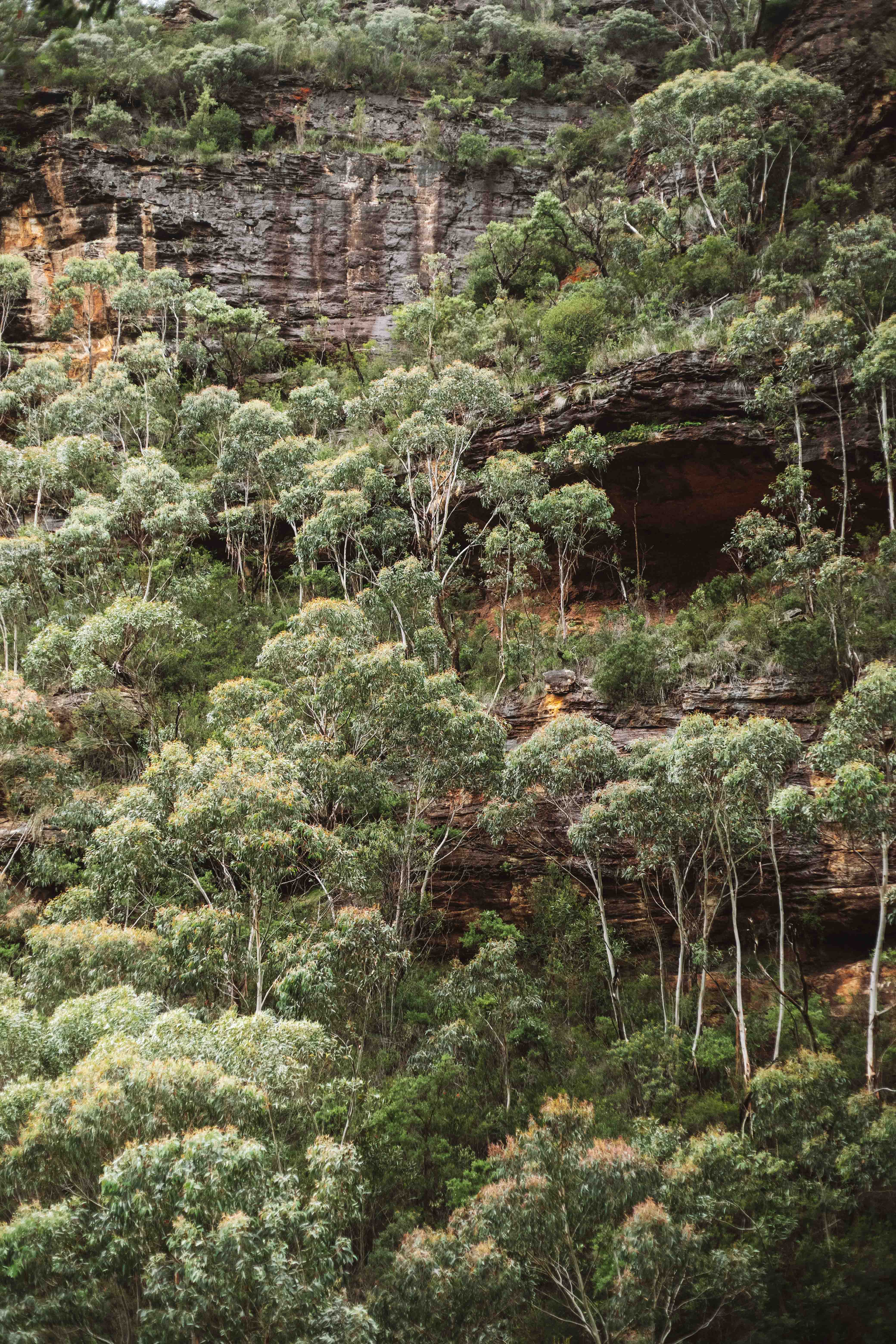 grand canyon walk blue mountains