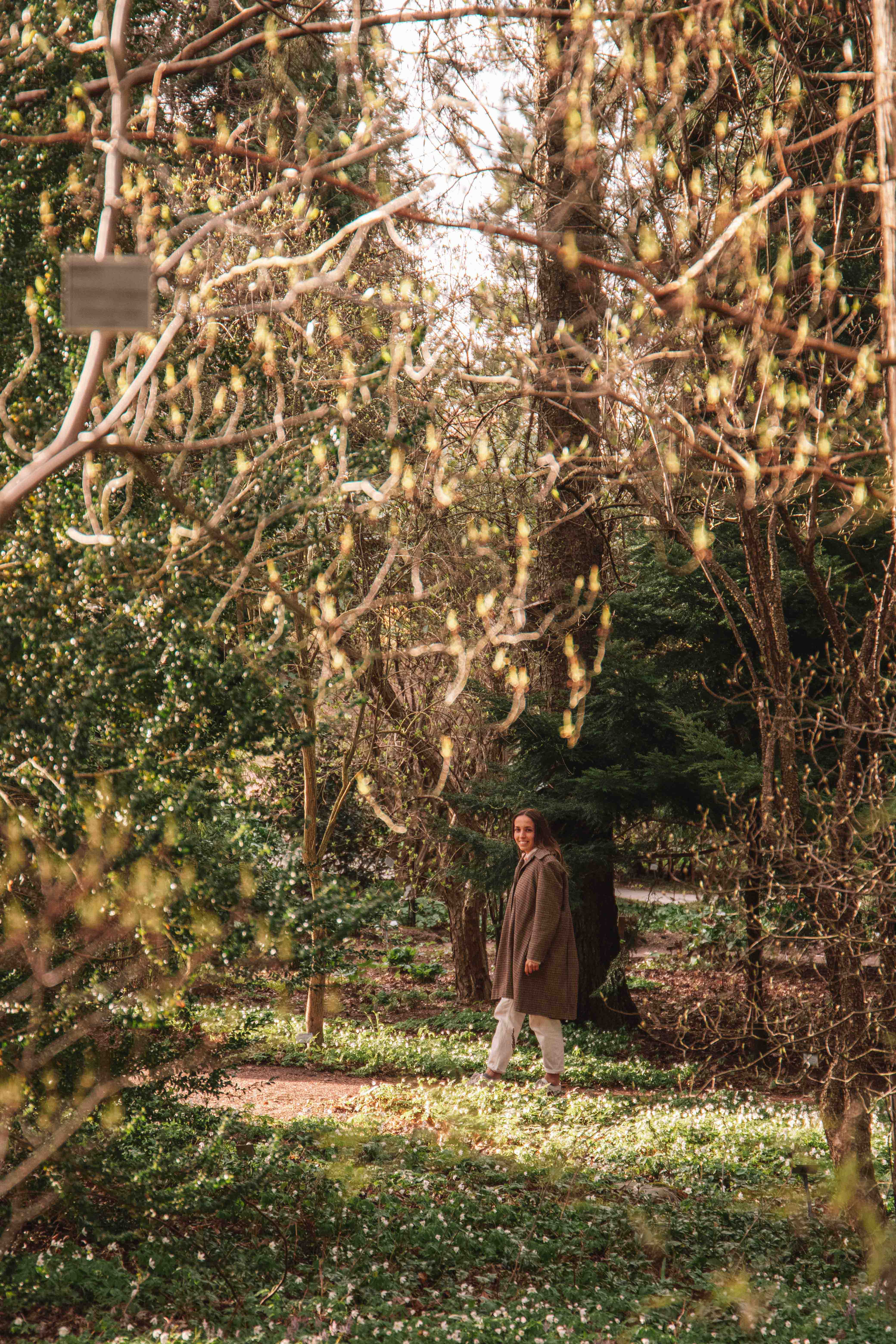 gothenburg botanical gardens