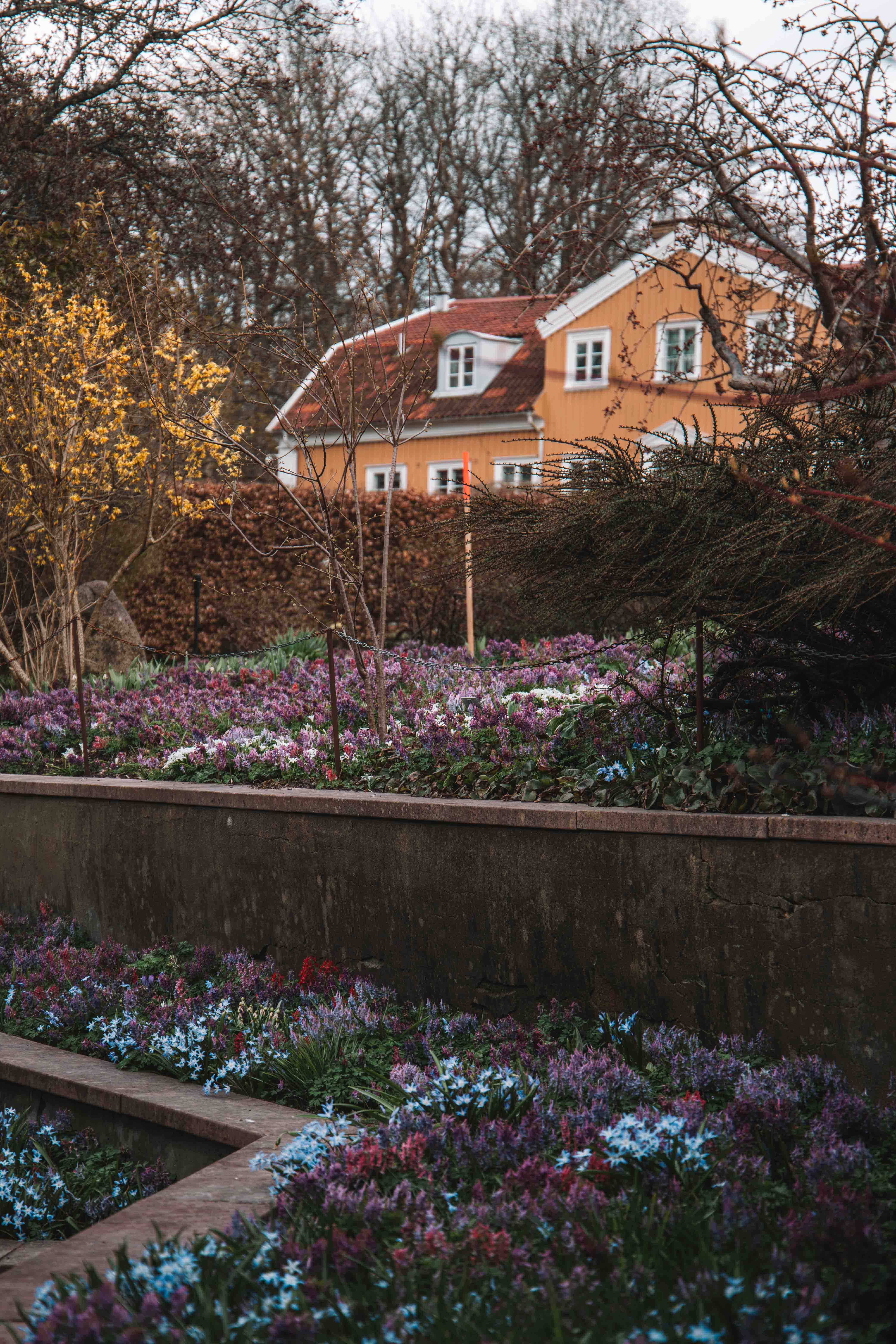 gothenburg botanical gardens