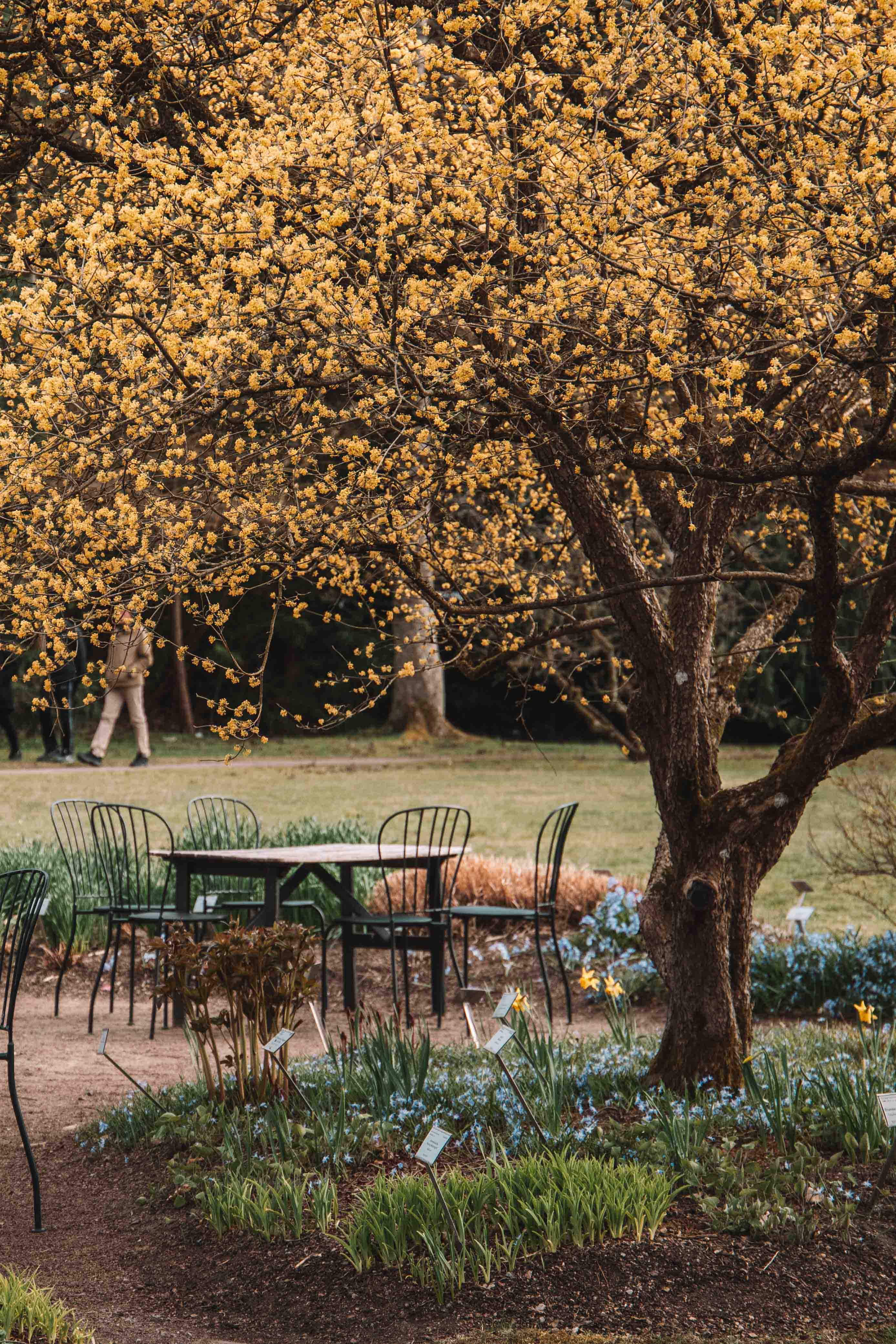 gothenburg botanical gardens