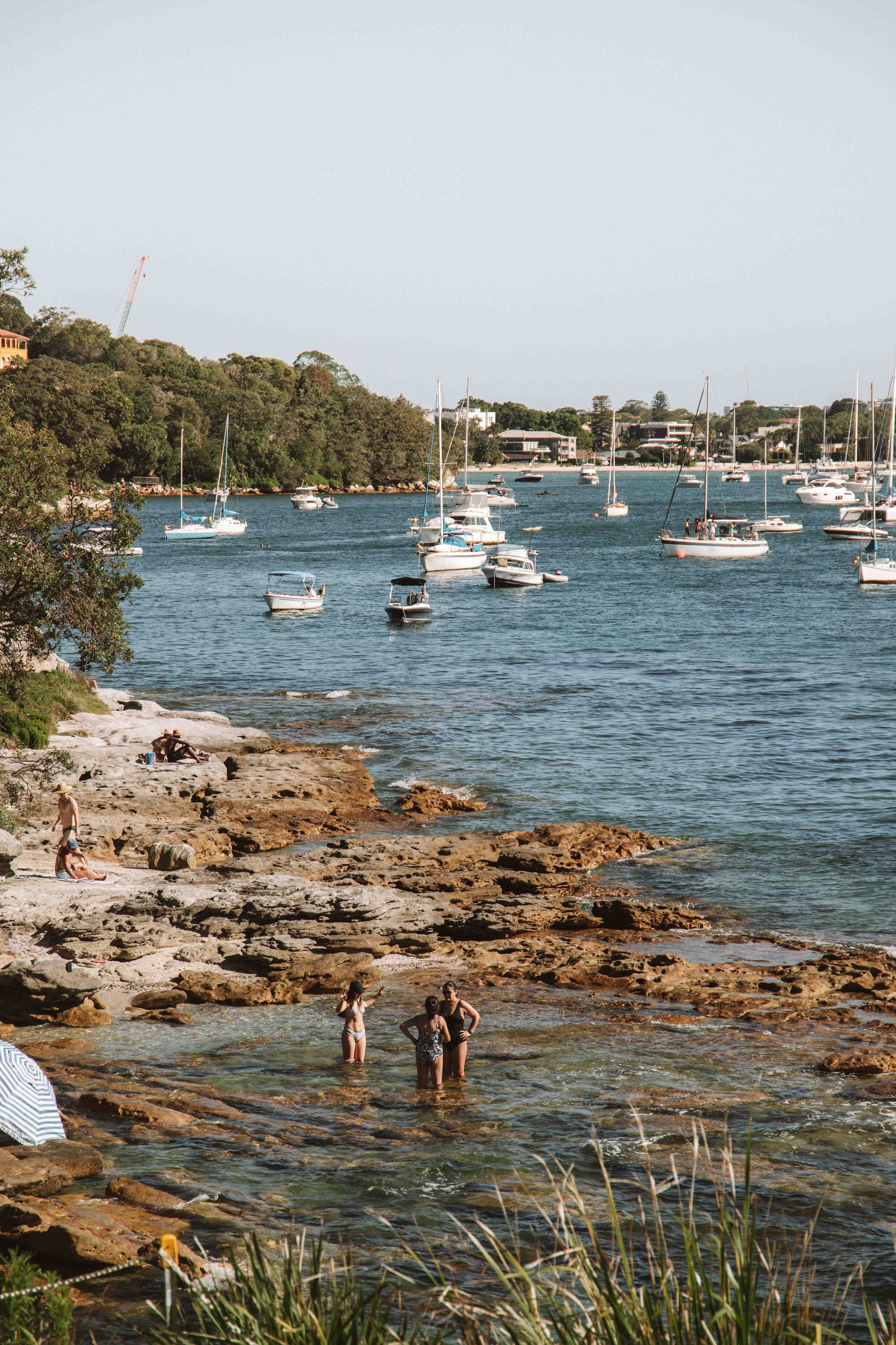 hermitage foreshore walk sydney