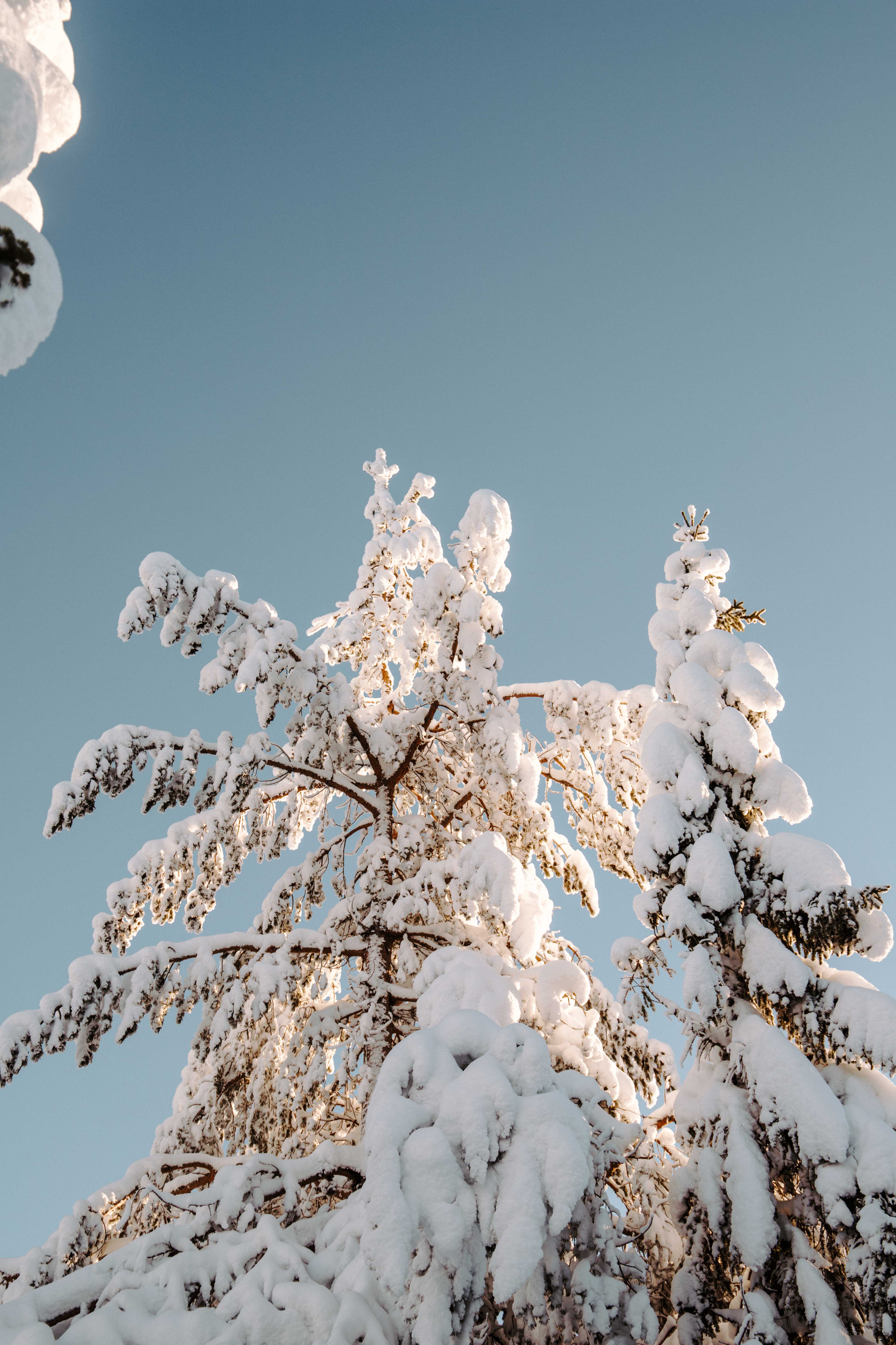 short getaway to sälen sweden