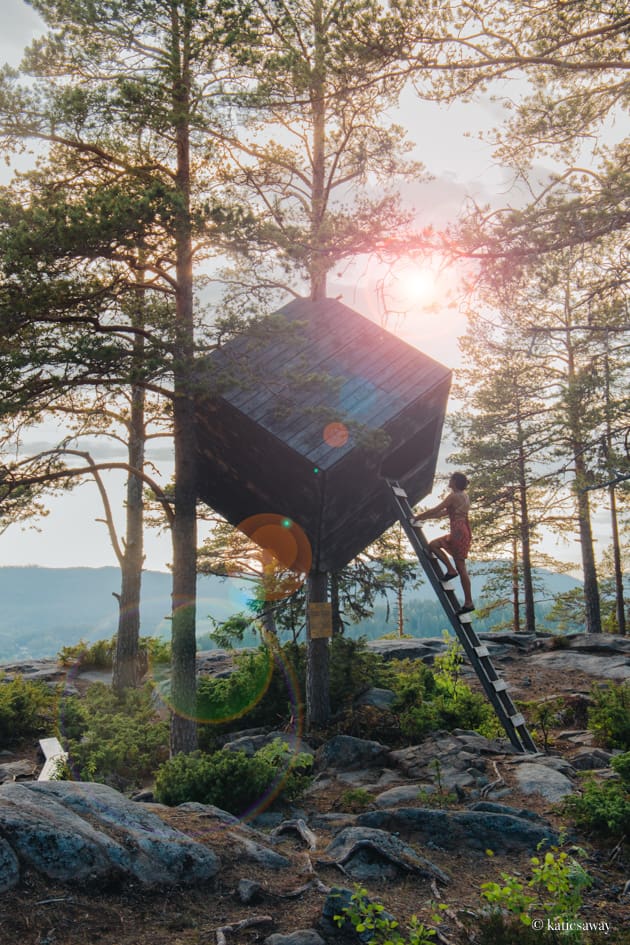 the tree cube arknat windshelter in nordingrå