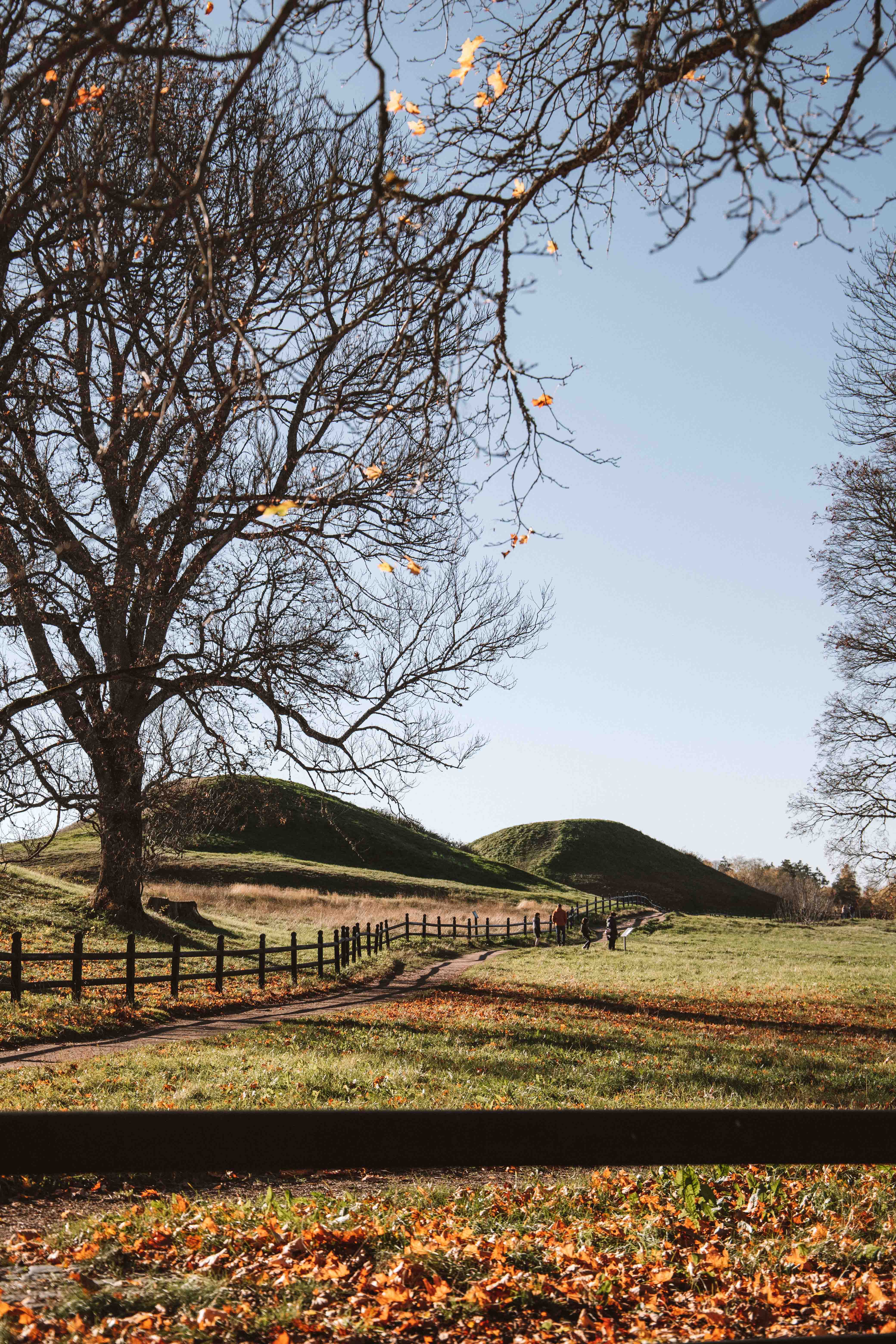 gamla uppsala