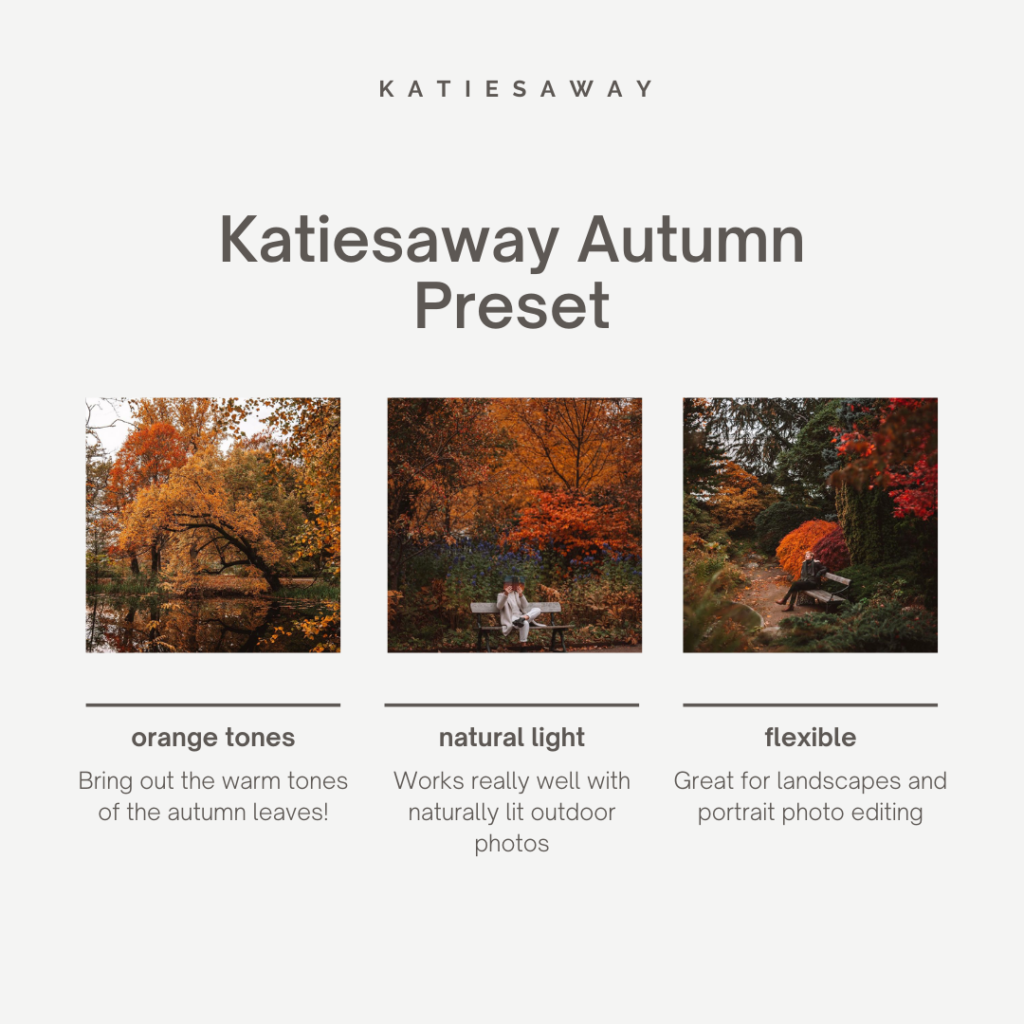 Katiesaway autumn desktop preset