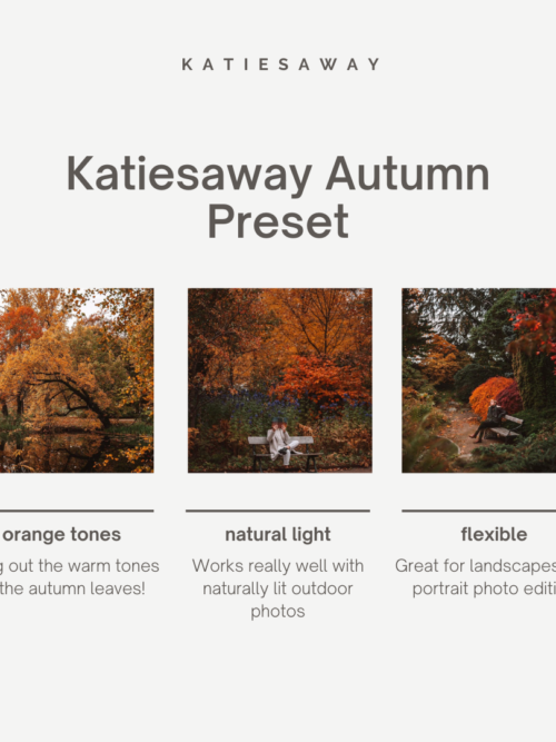 Katiesaway autumn desktop preset