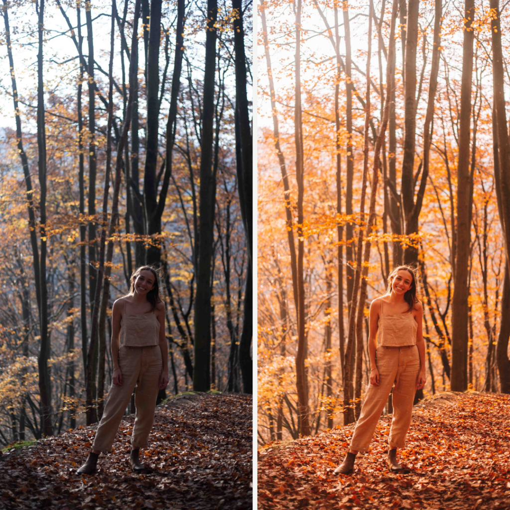 Katiesaway autumn desktop preset