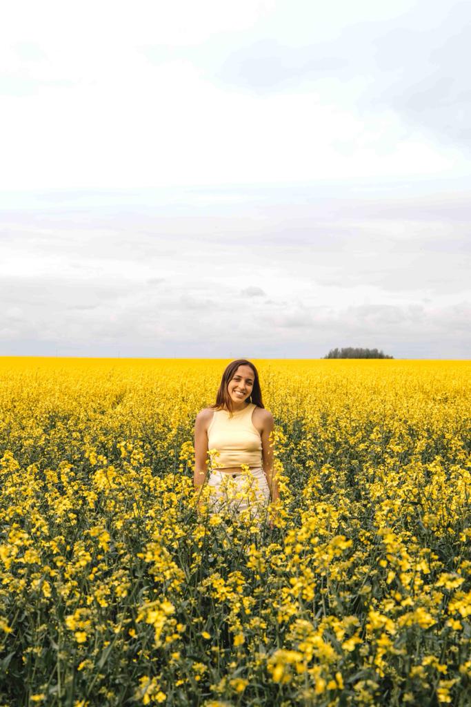 Skåne Rapeseed Fields – Where to see the flowers bloom