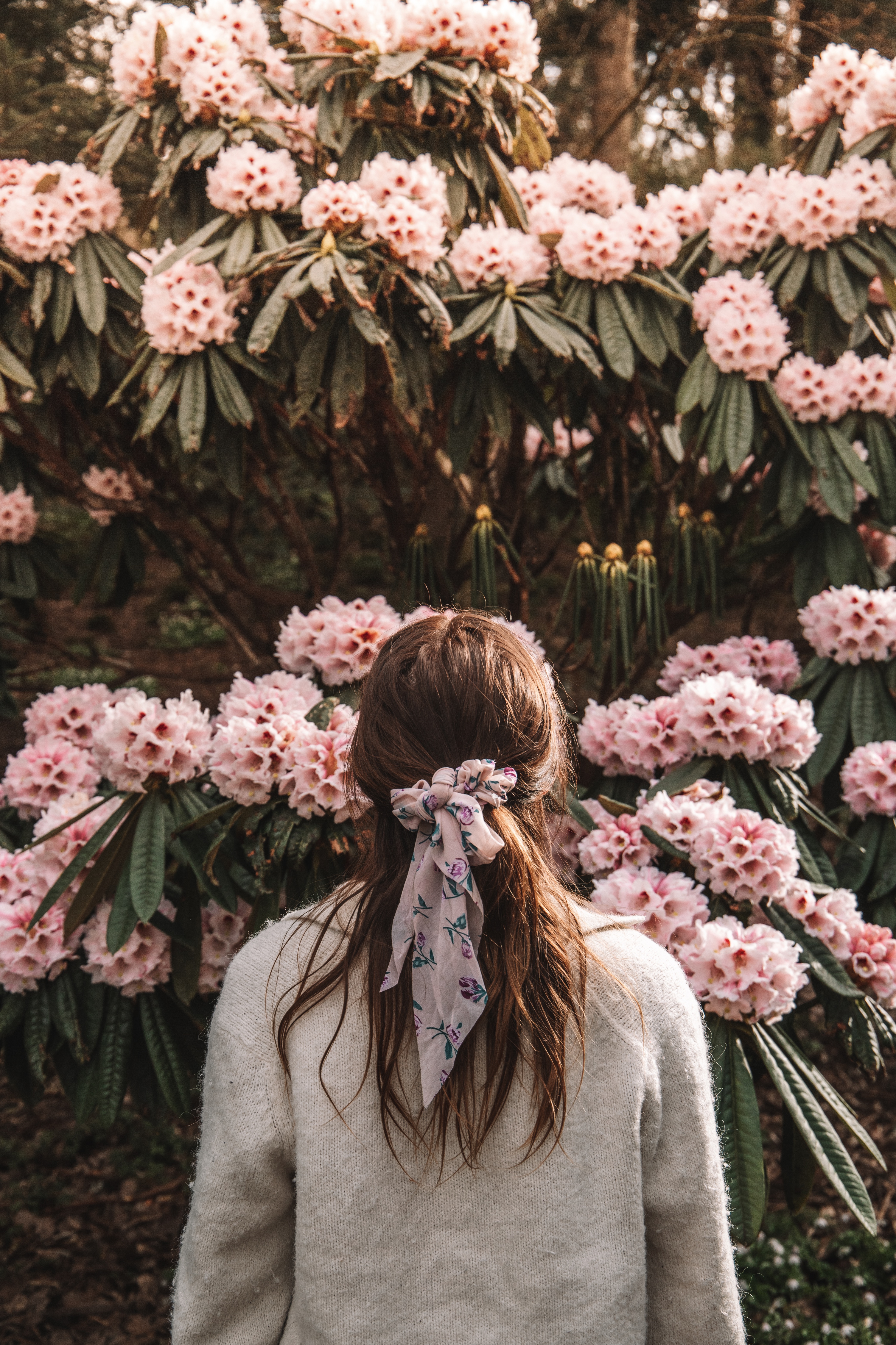 gothenburg botanical gardens