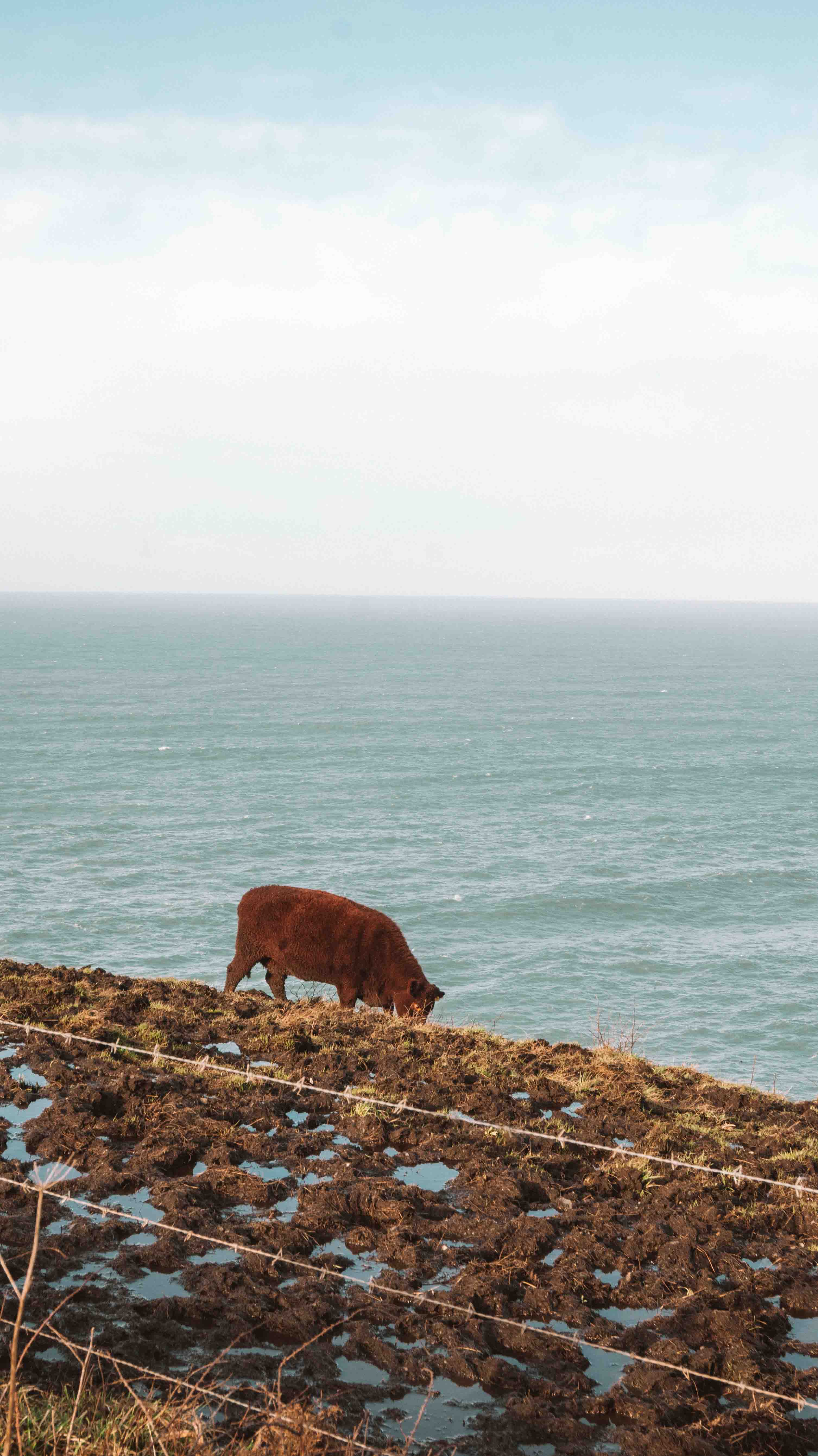 south west coast path boscastle