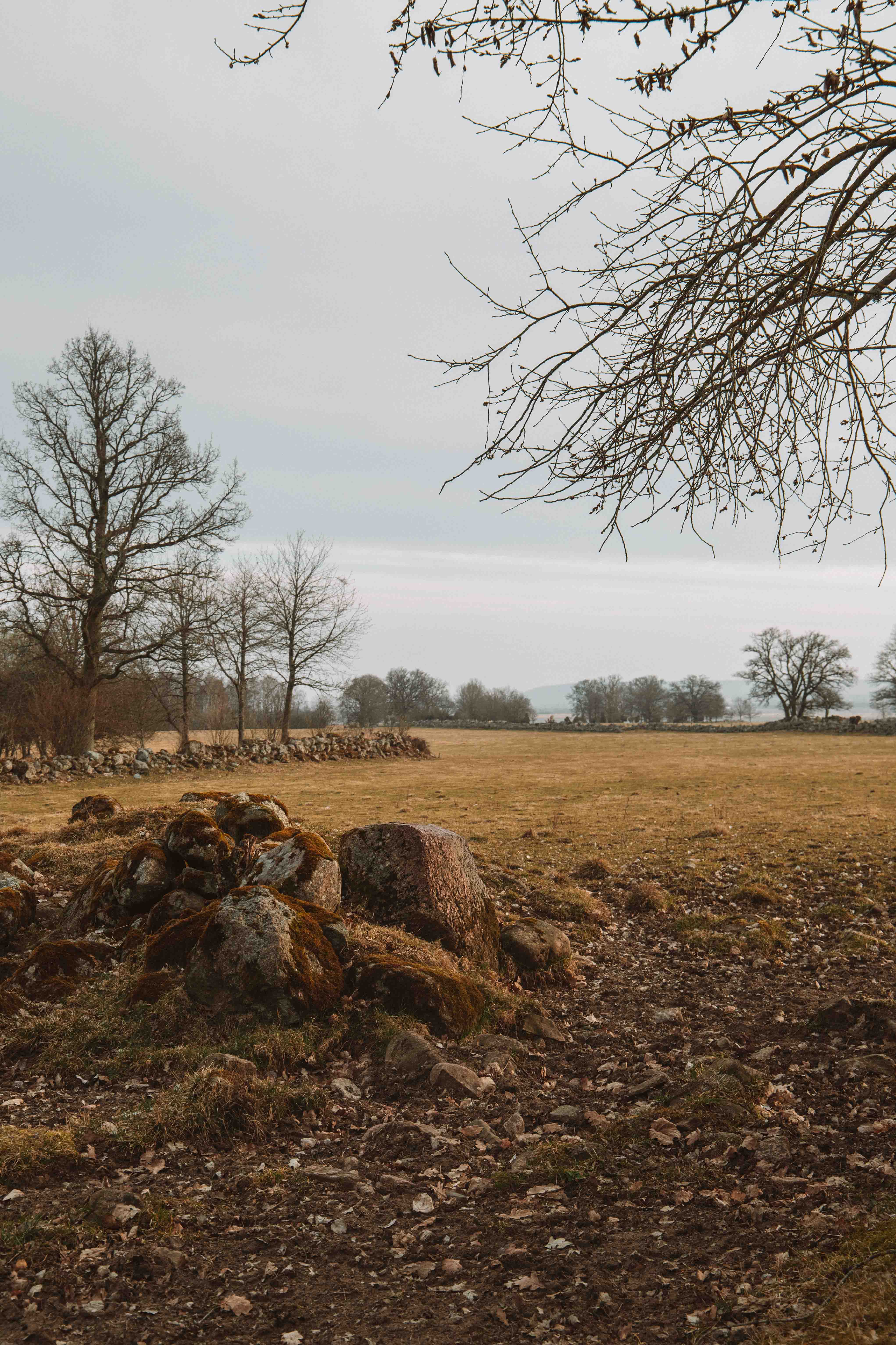 walk by lake hornborga