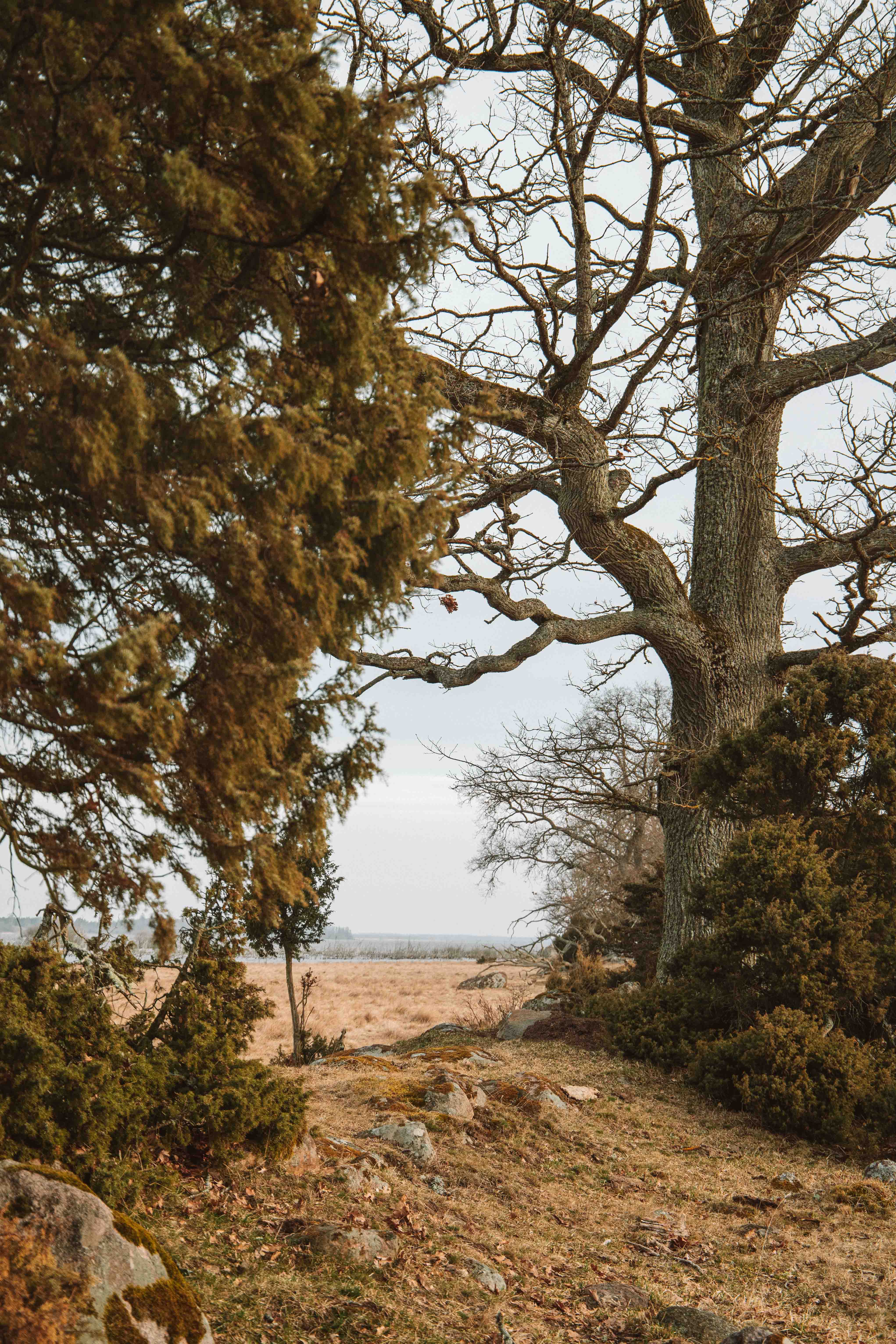 walking around lake hornborga